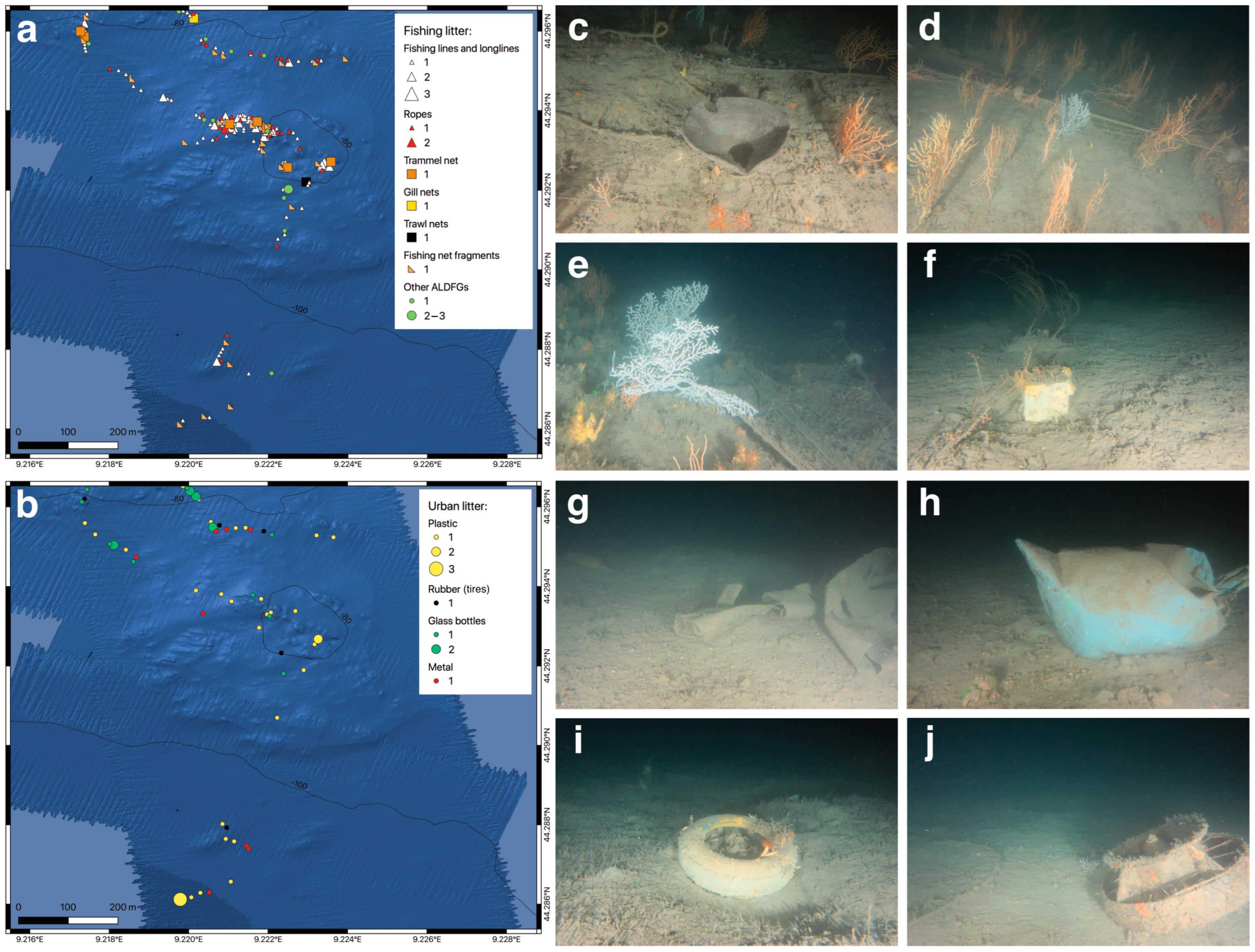 Diversity 15 00933 g008