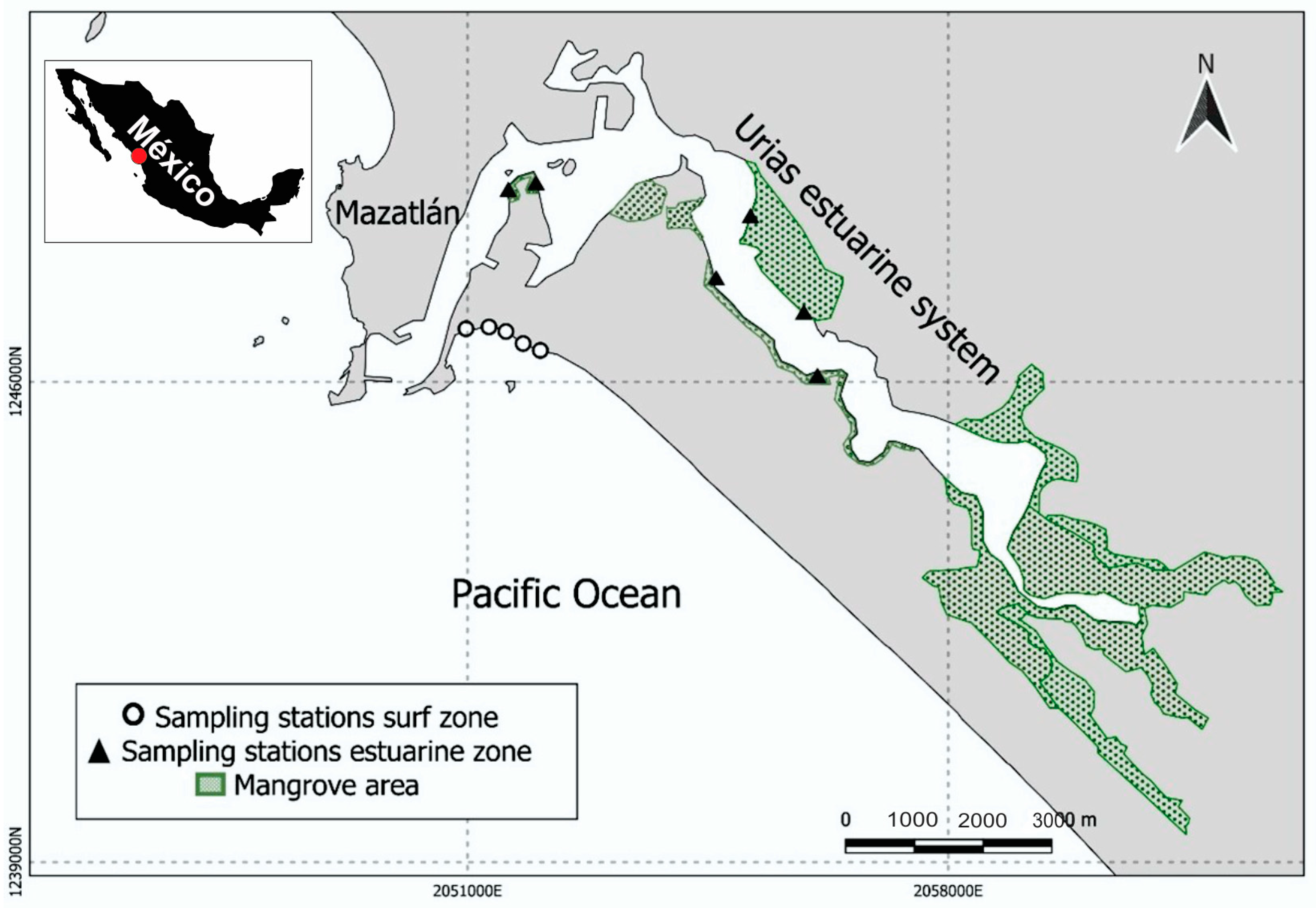 Diversity 15 00934 g001