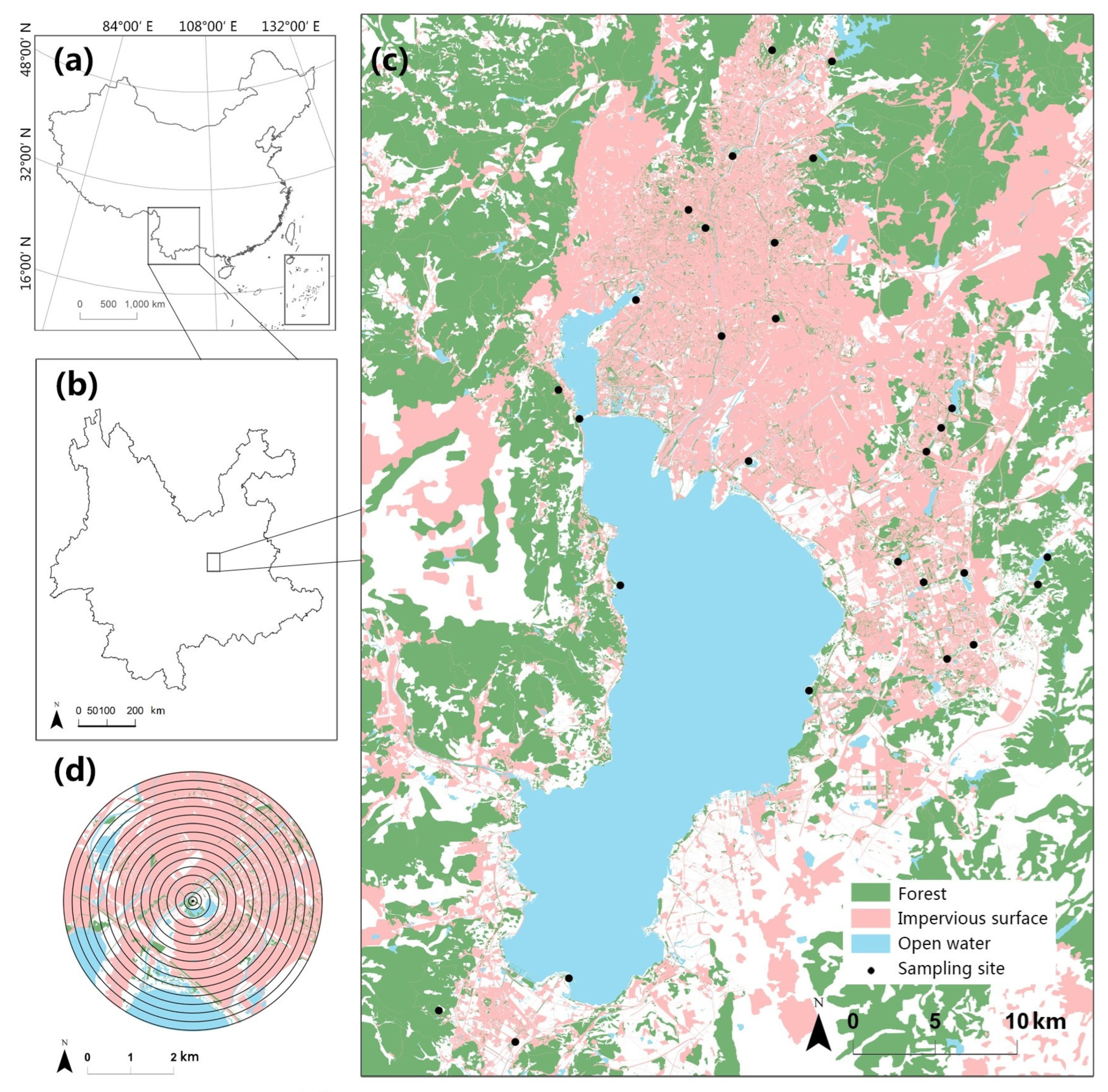 Diversity 15 00943 g001