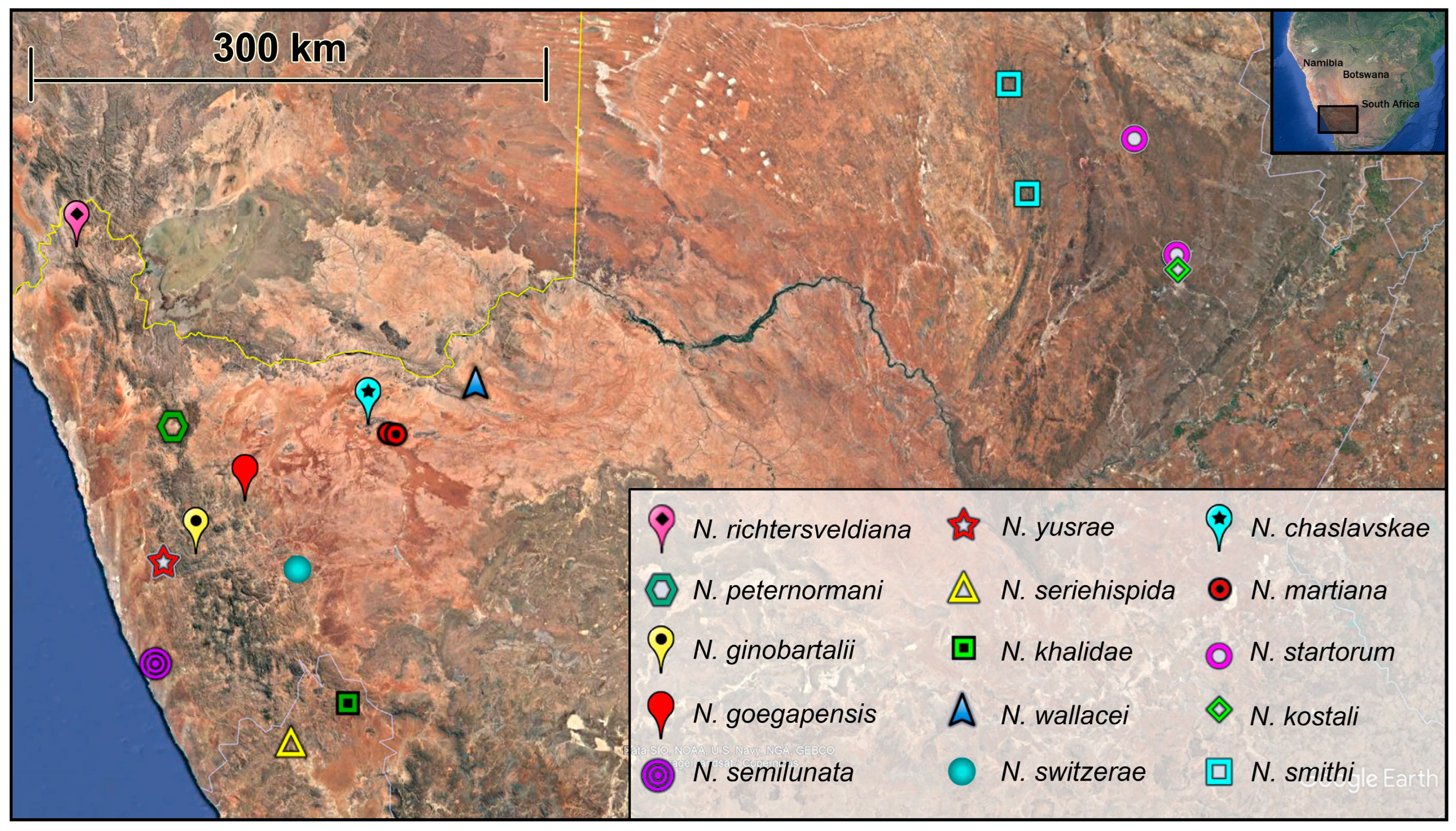 Diversity 15 00944 g001