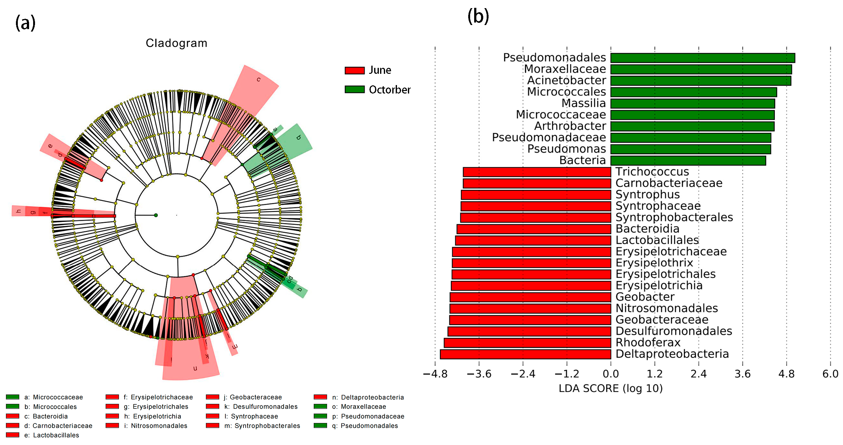 Diversity 15 00946 g008