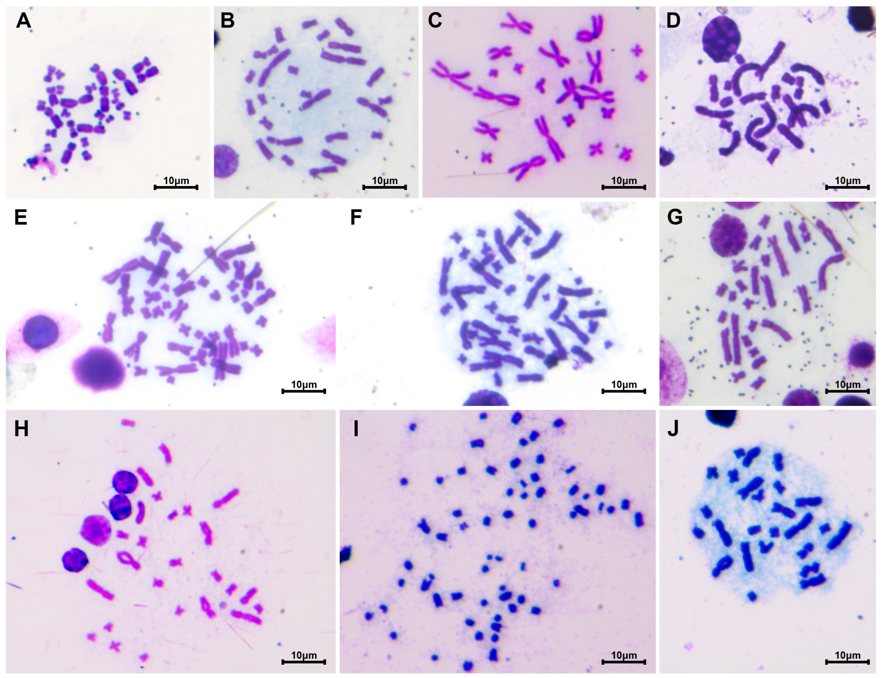 Diversity 15 00947 g001