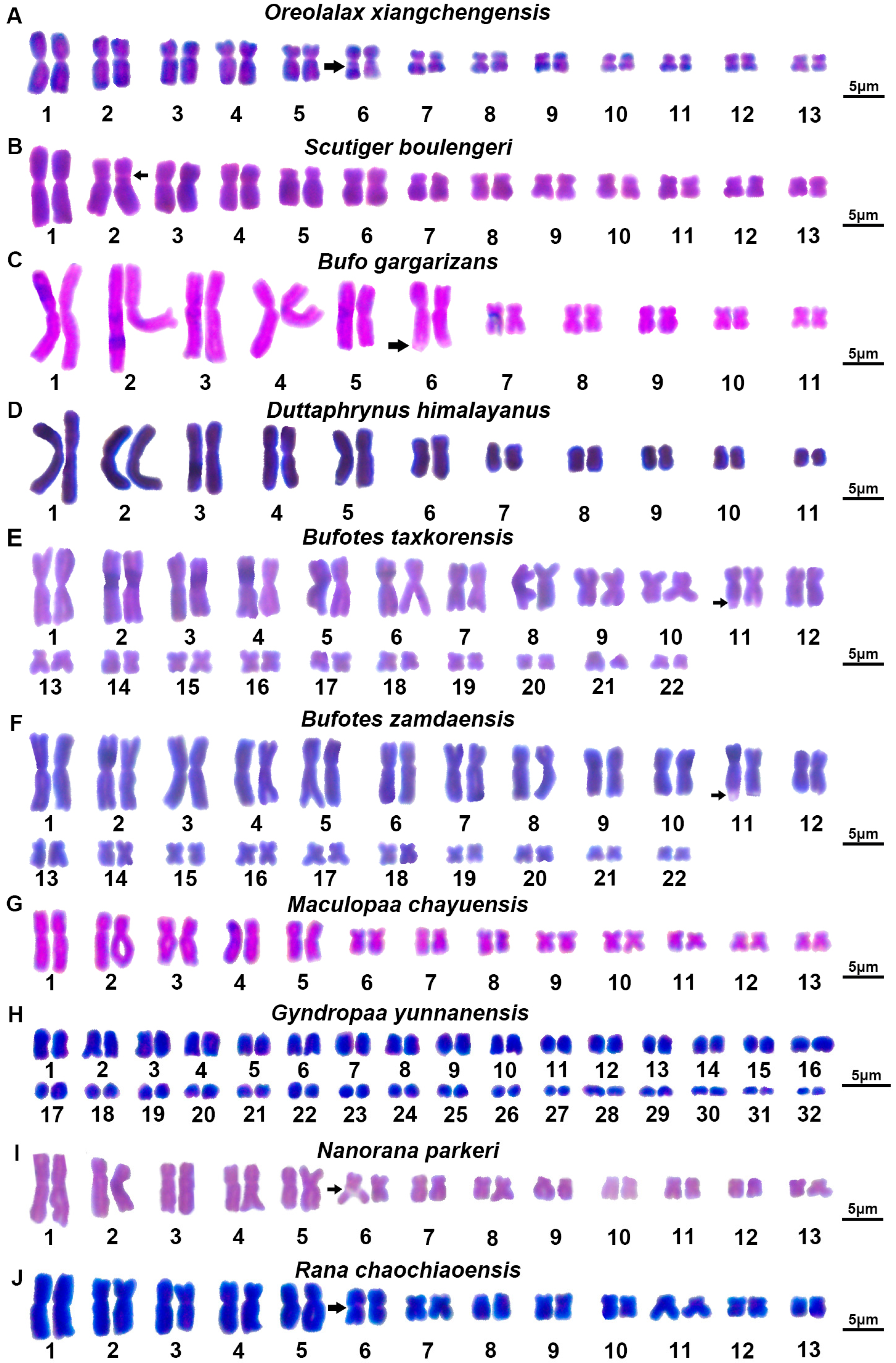 Diversity 15 00947 g002