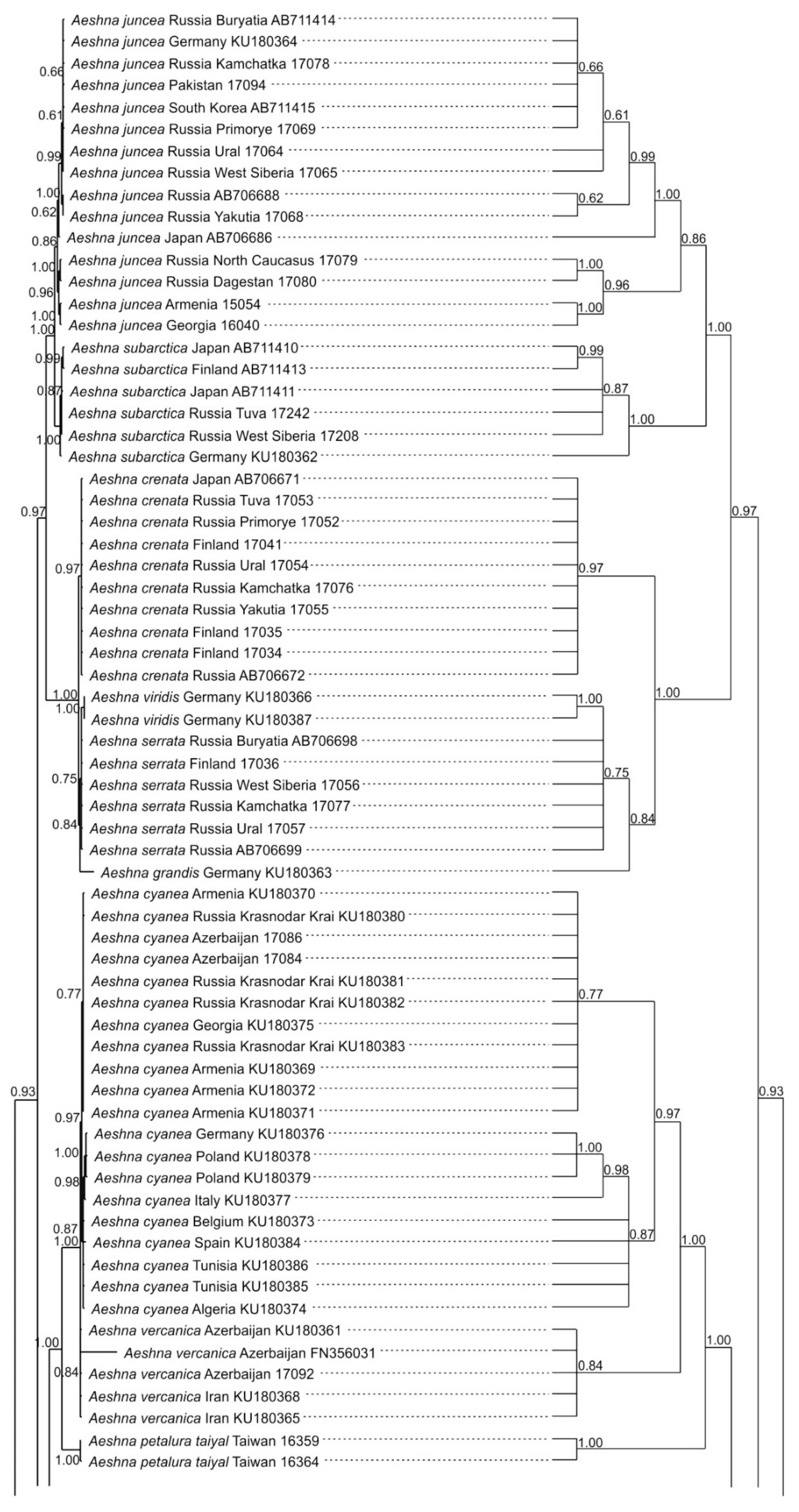 Diversity 15 00950 g002a
