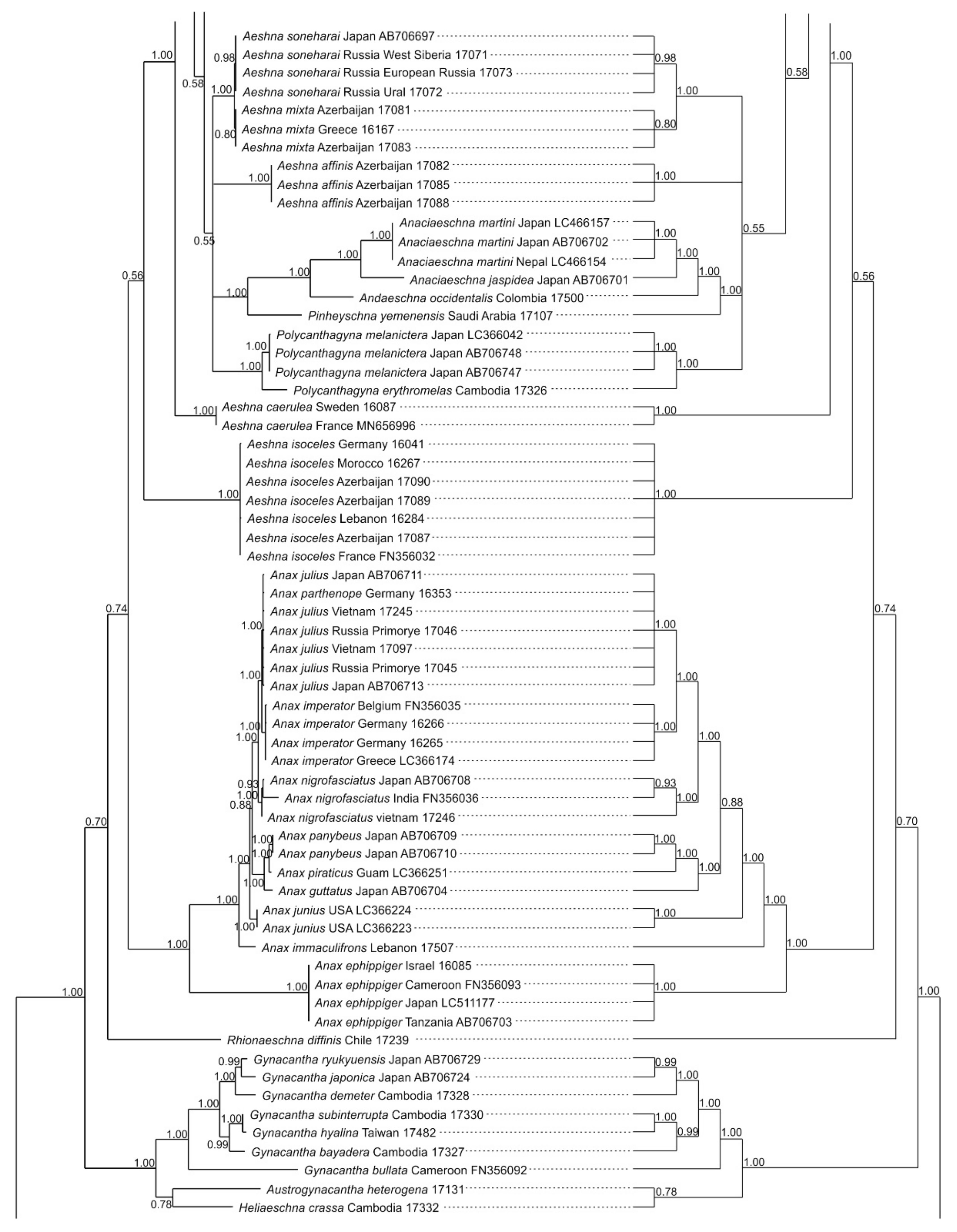 Diversity 15 00950 g002b