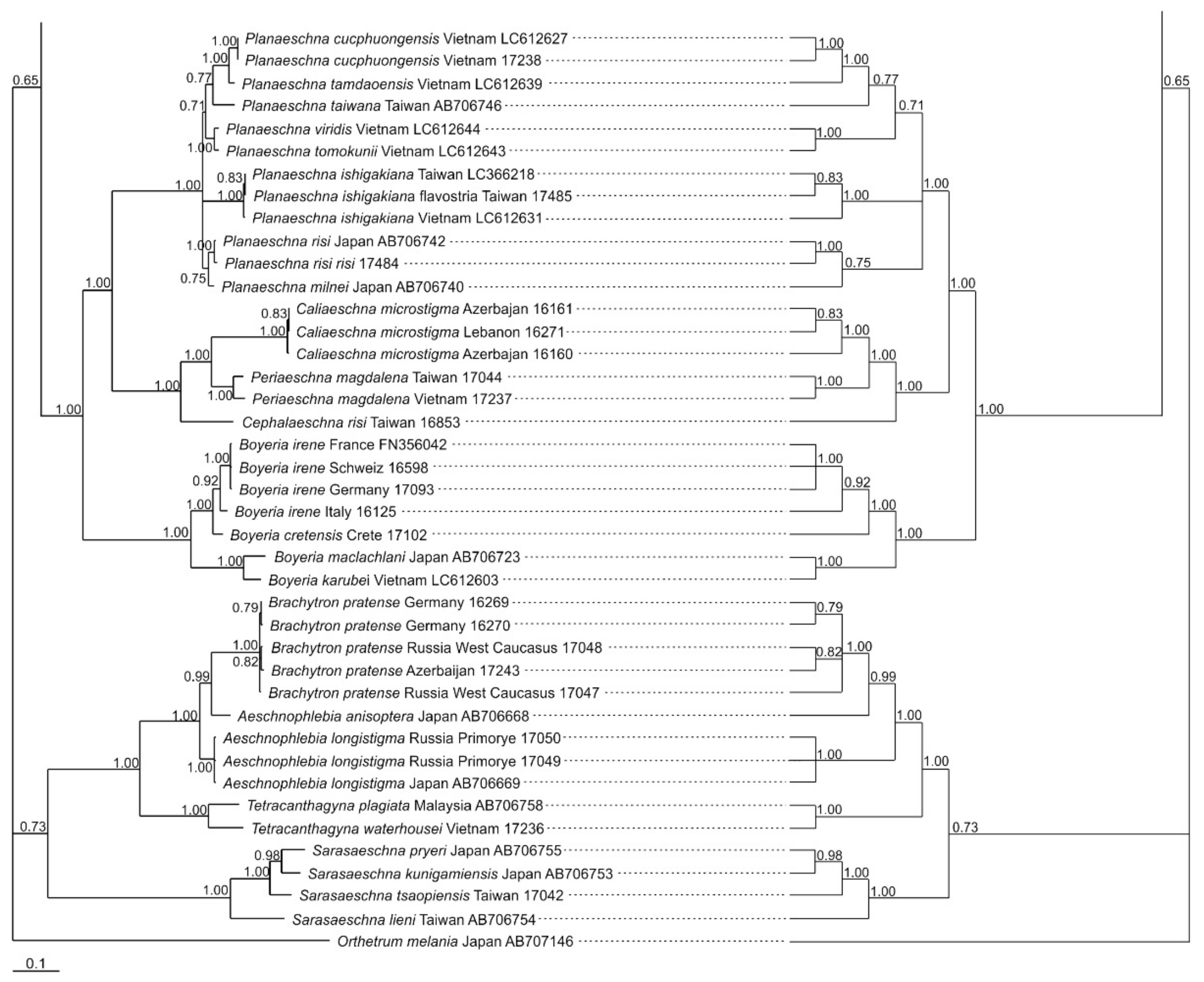 Diversity 15 00950 g002c