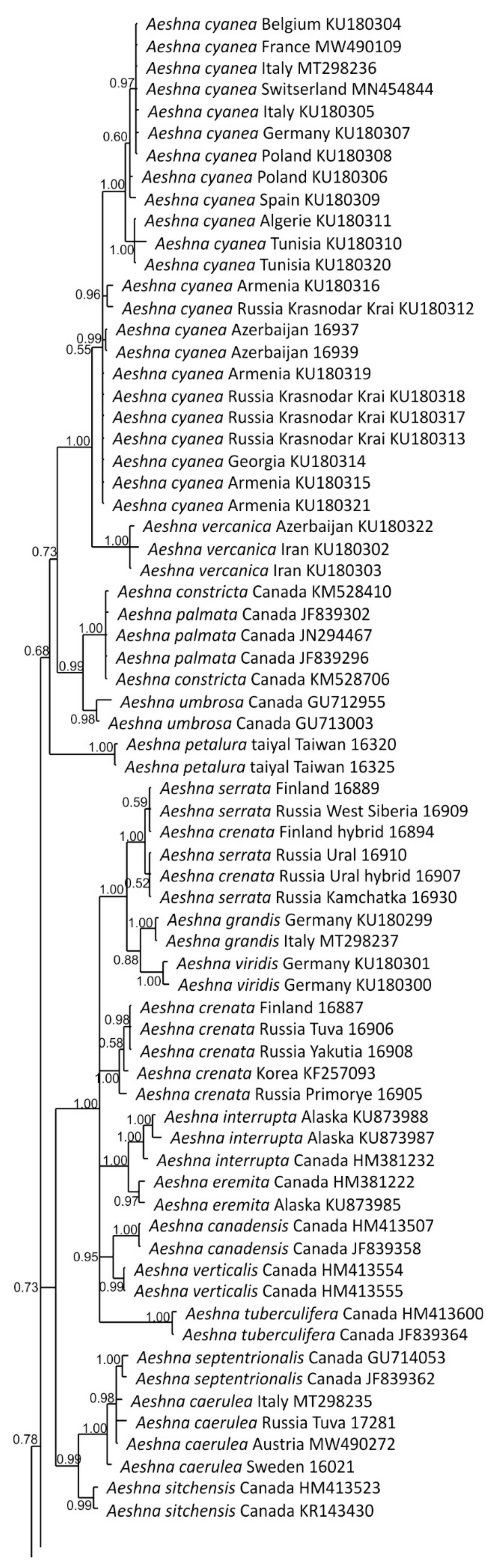 Diversity 15 00950 g003a