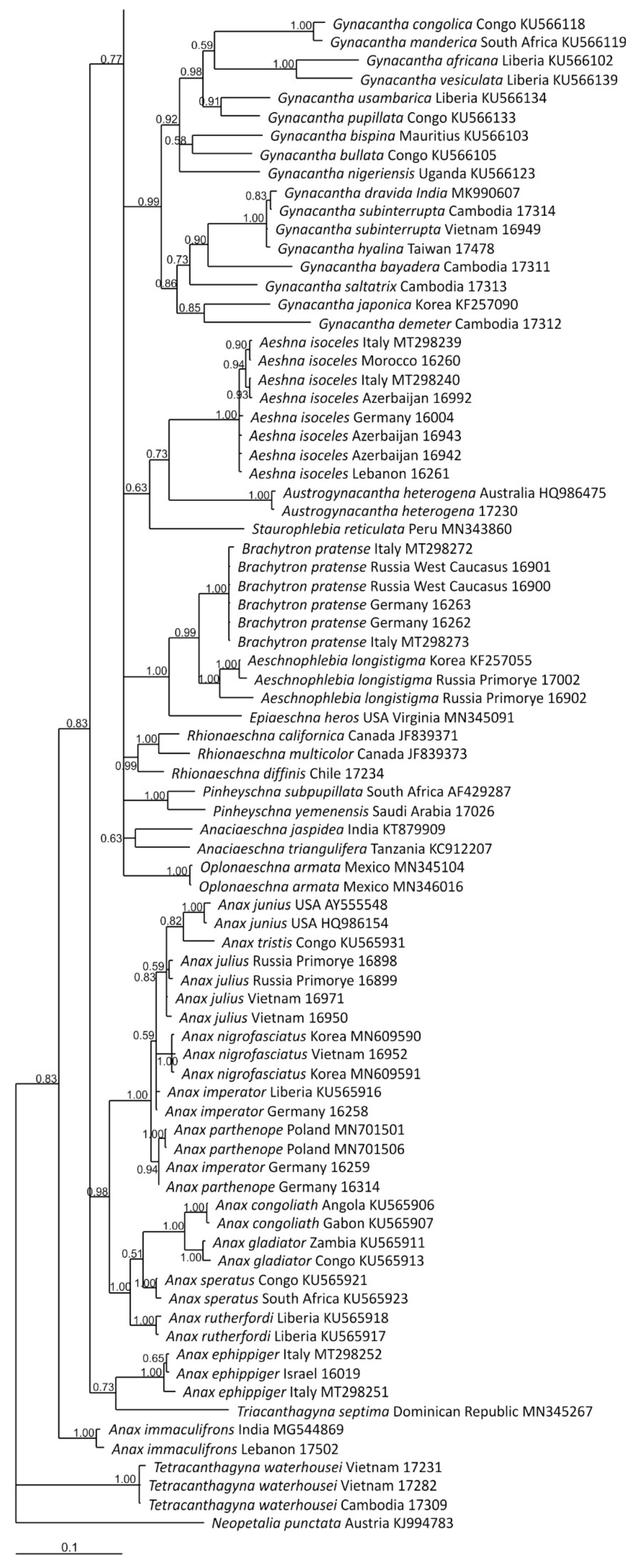 Diversity 15 00950 g003c