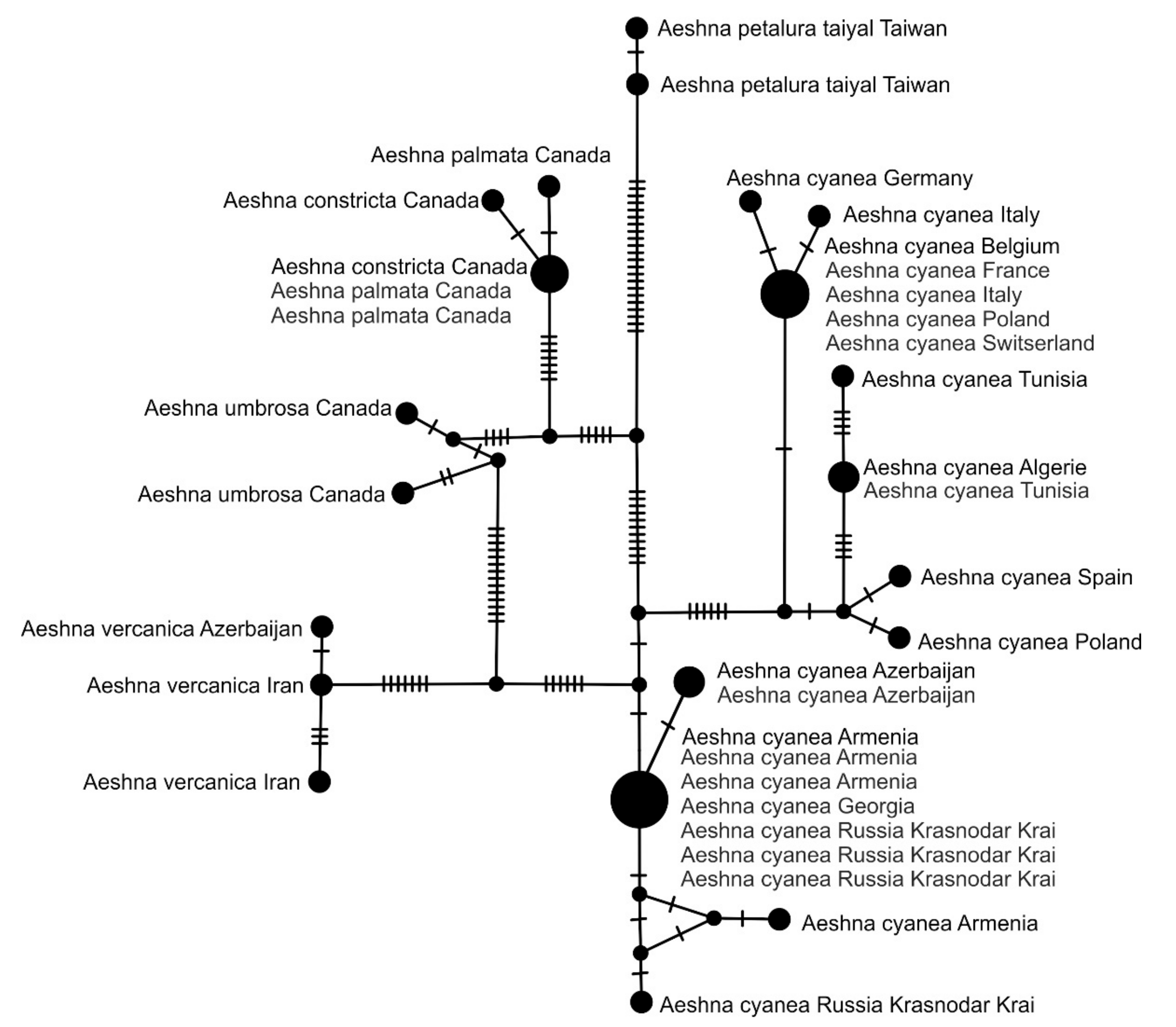 Diversity 15 00950 g004