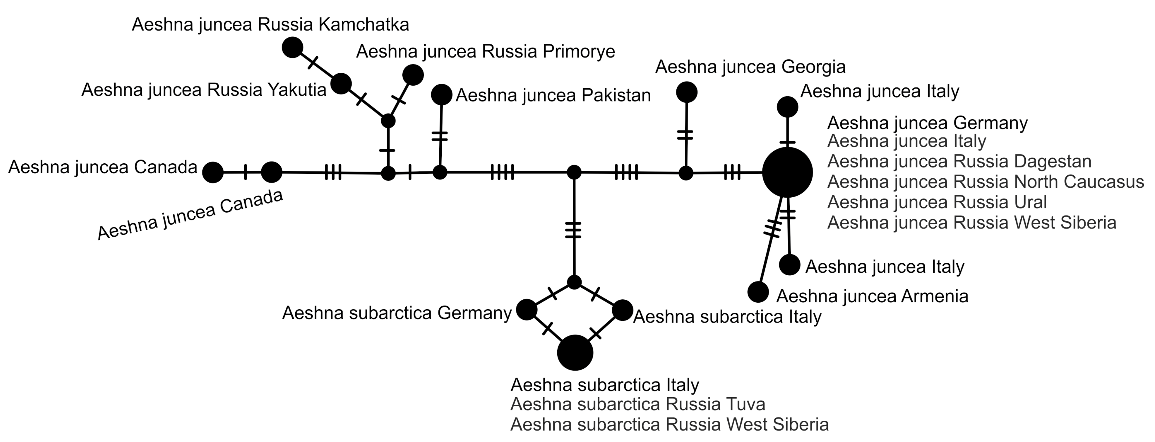 Diversity 15 00950 g006