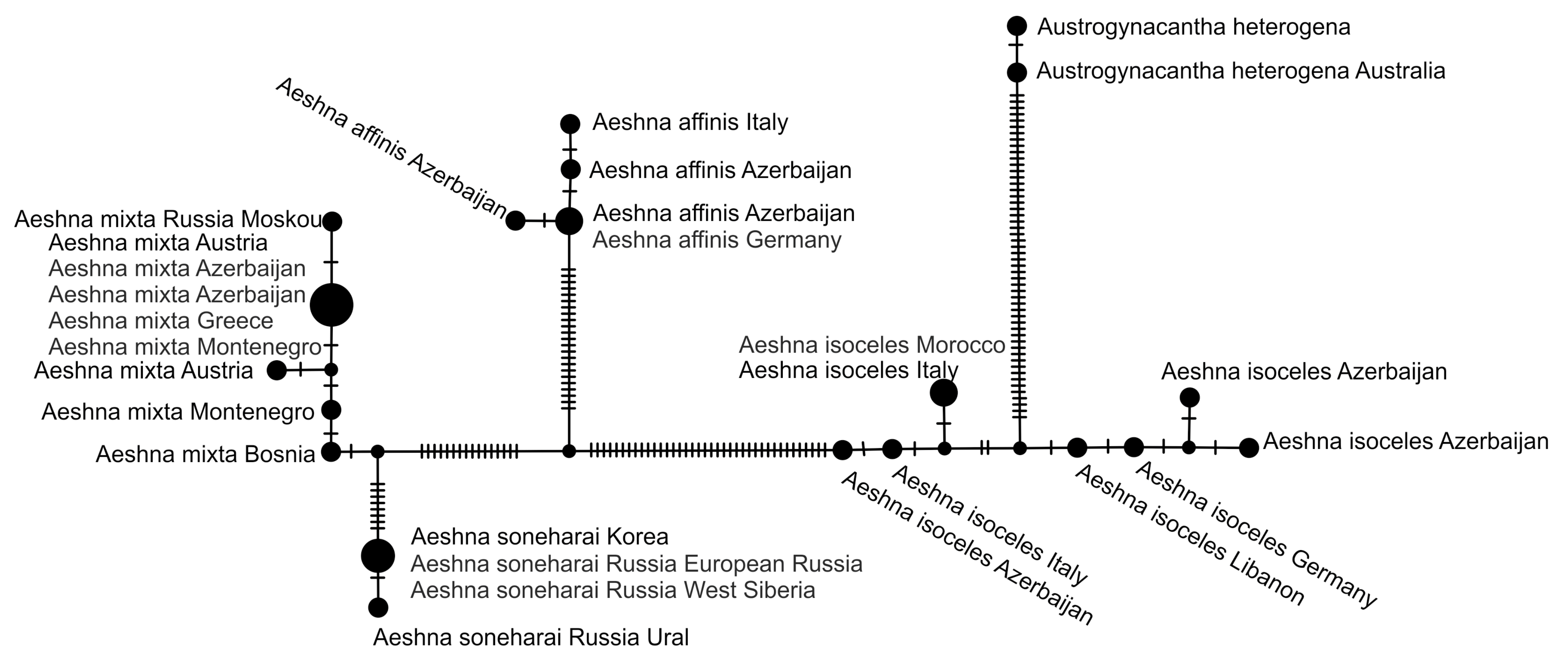 Diversity 15 00950 g007