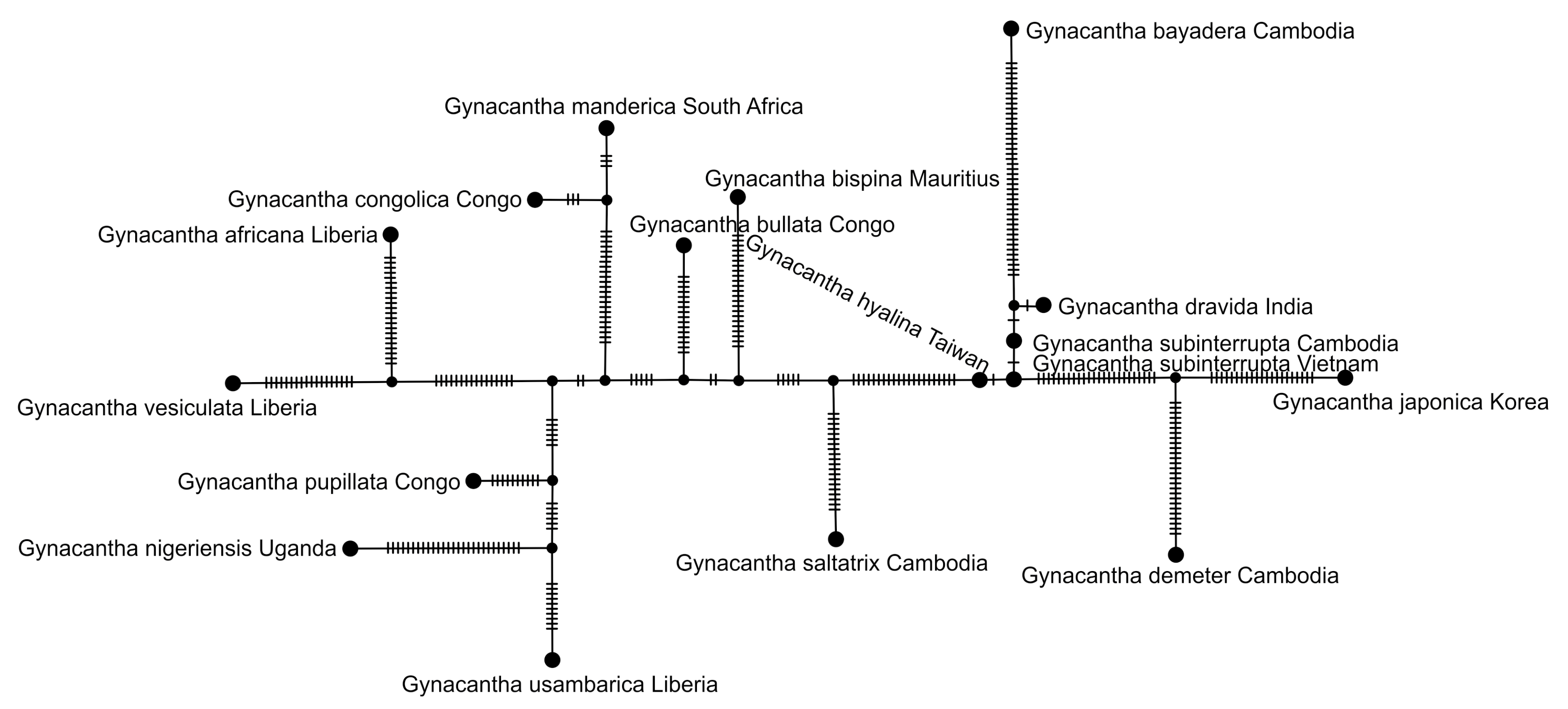 Diversity 15 00950 g009