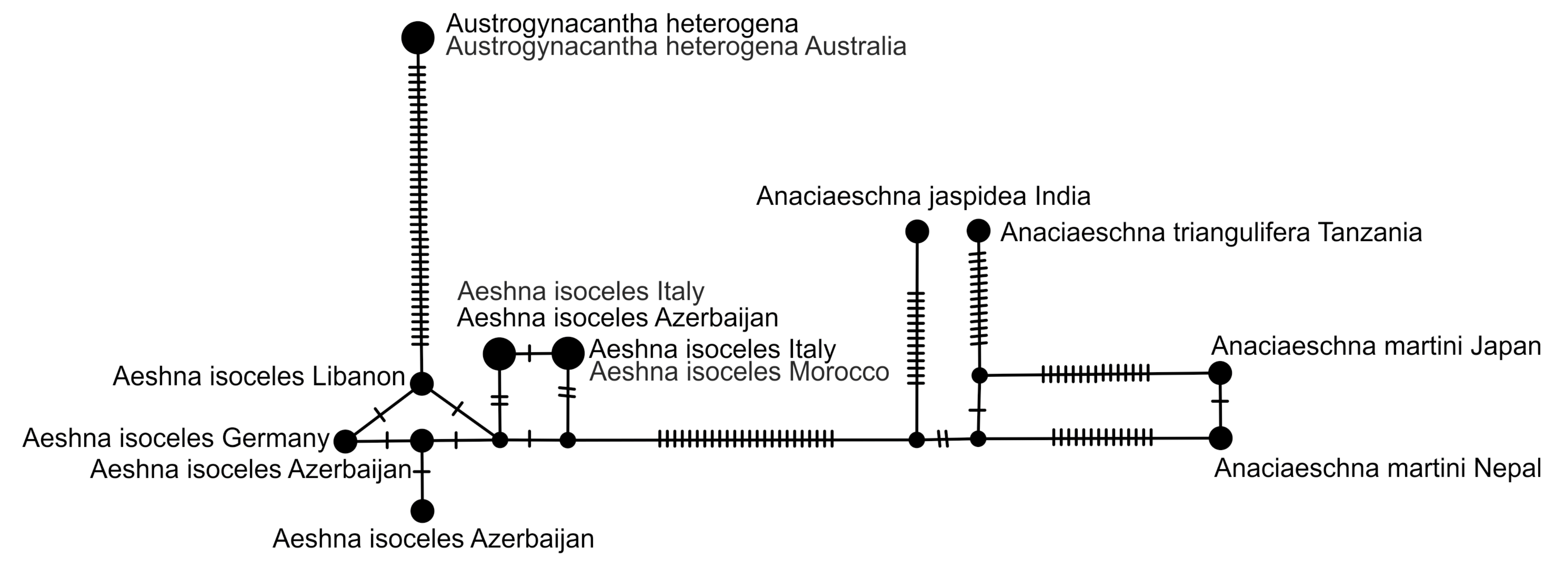 Diversity 15 00950 g010