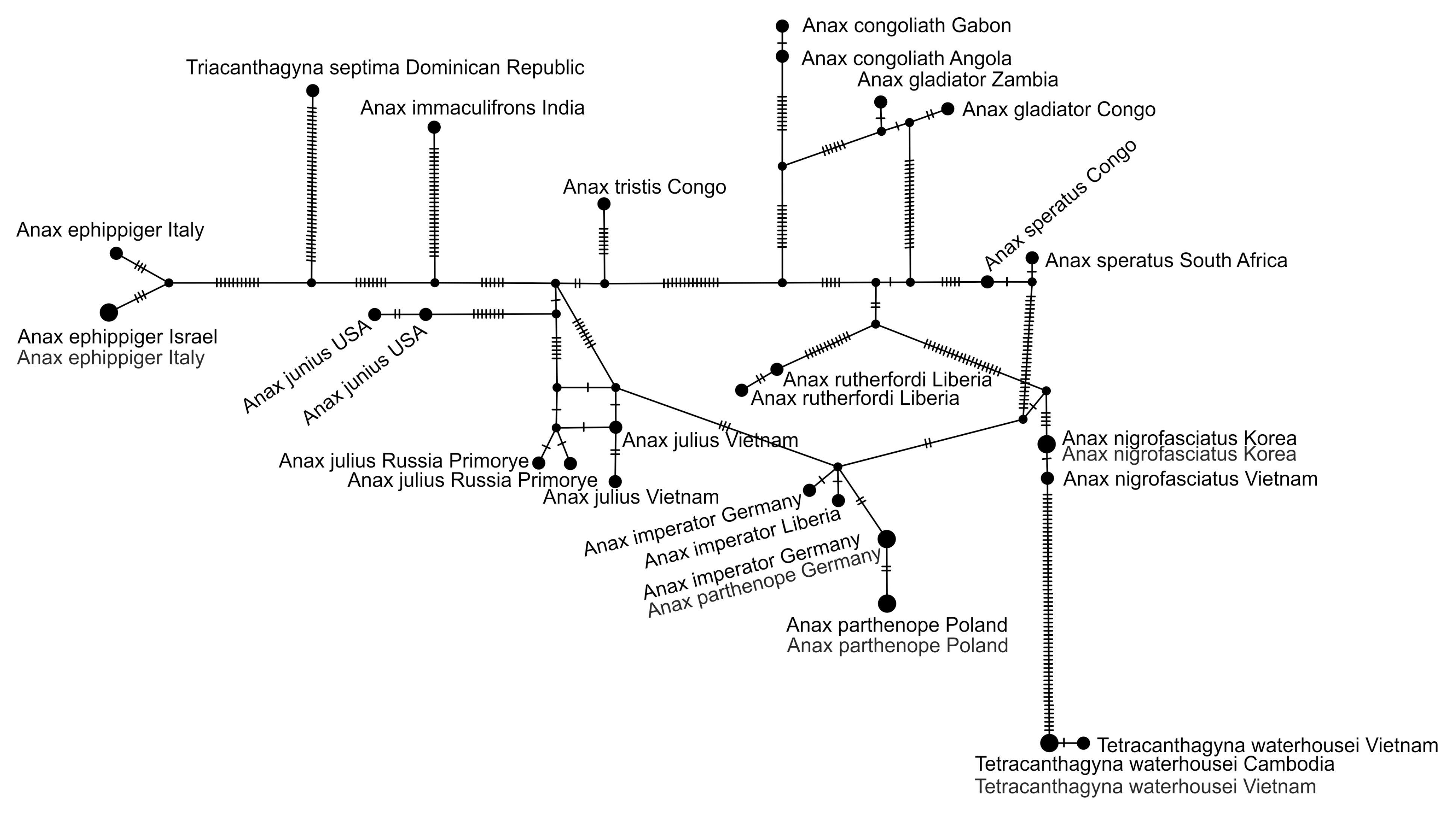 Diversity 15 00950 g011