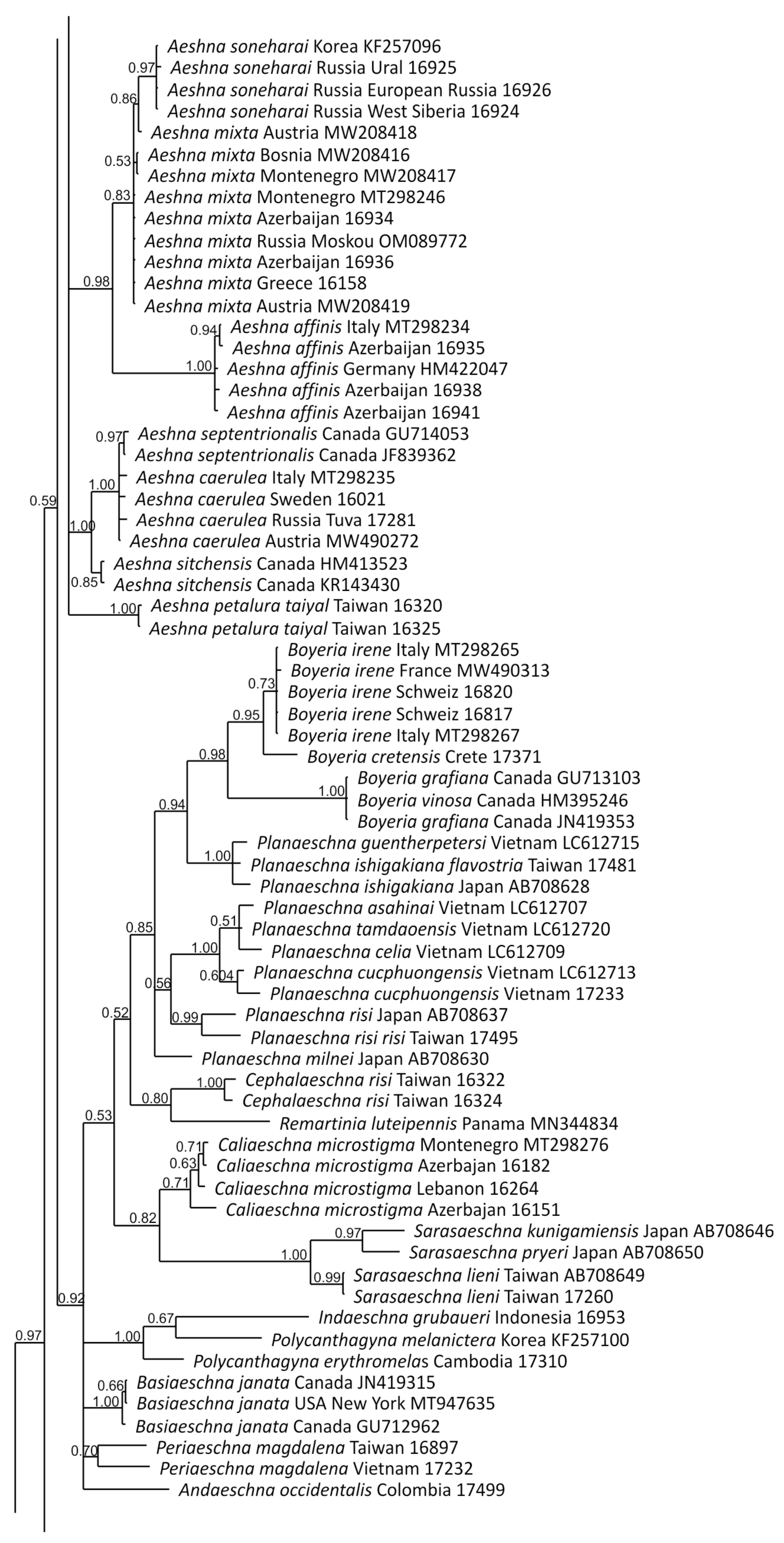 Diversity 15 00950 g012b