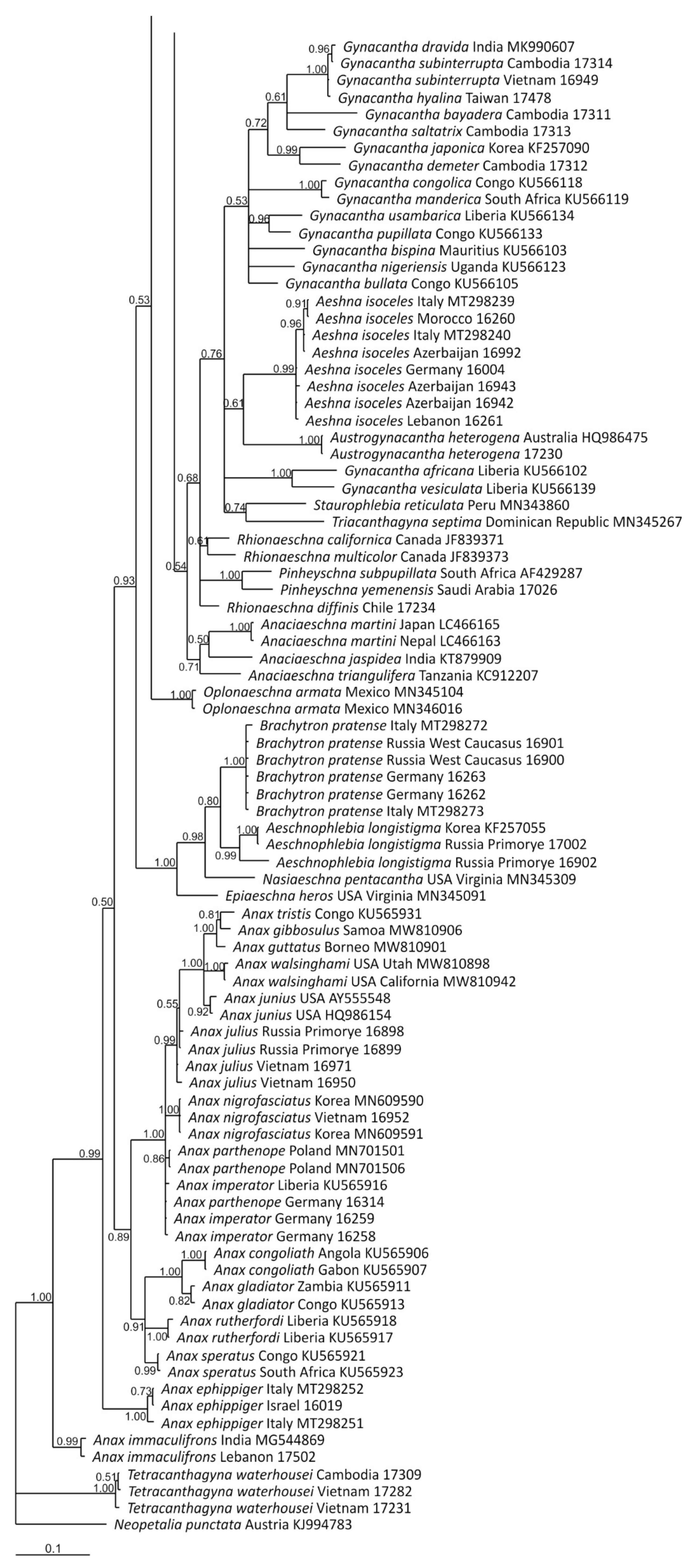 Diversity 15 00950 g012c