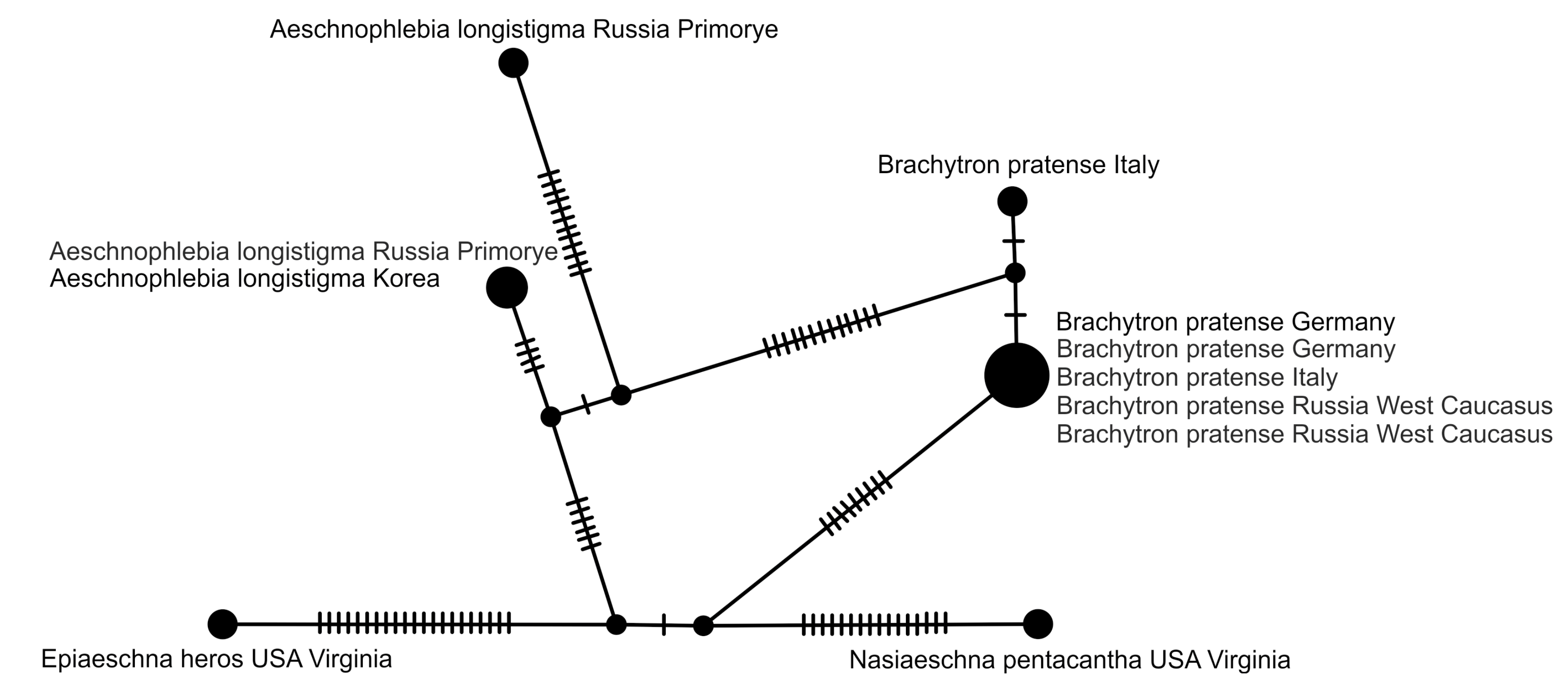 Diversity 15 00950 g013