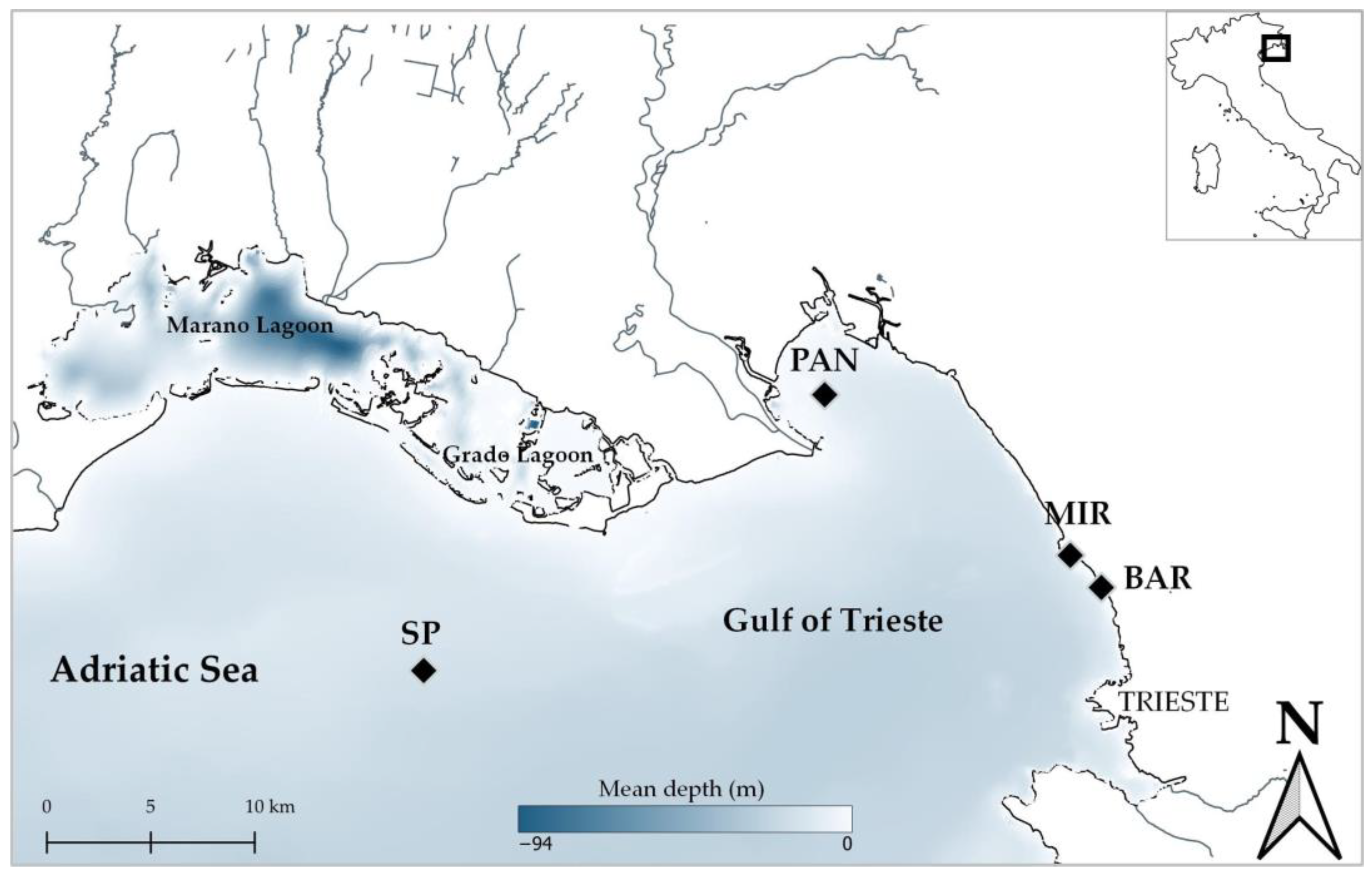 Diversity 15 00956 g001