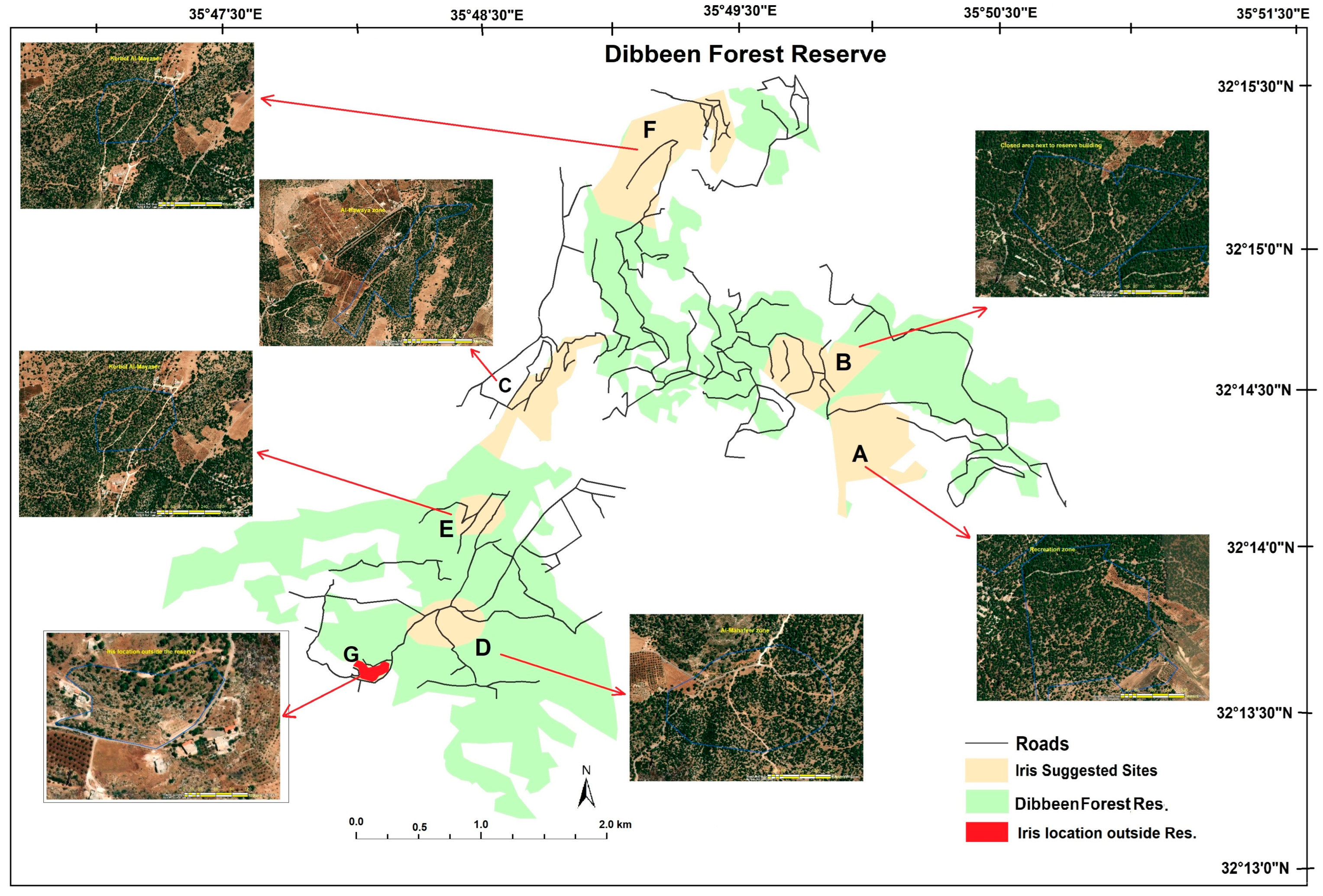 Diversity 15 00957 g003 Diversity 15 00957 g003