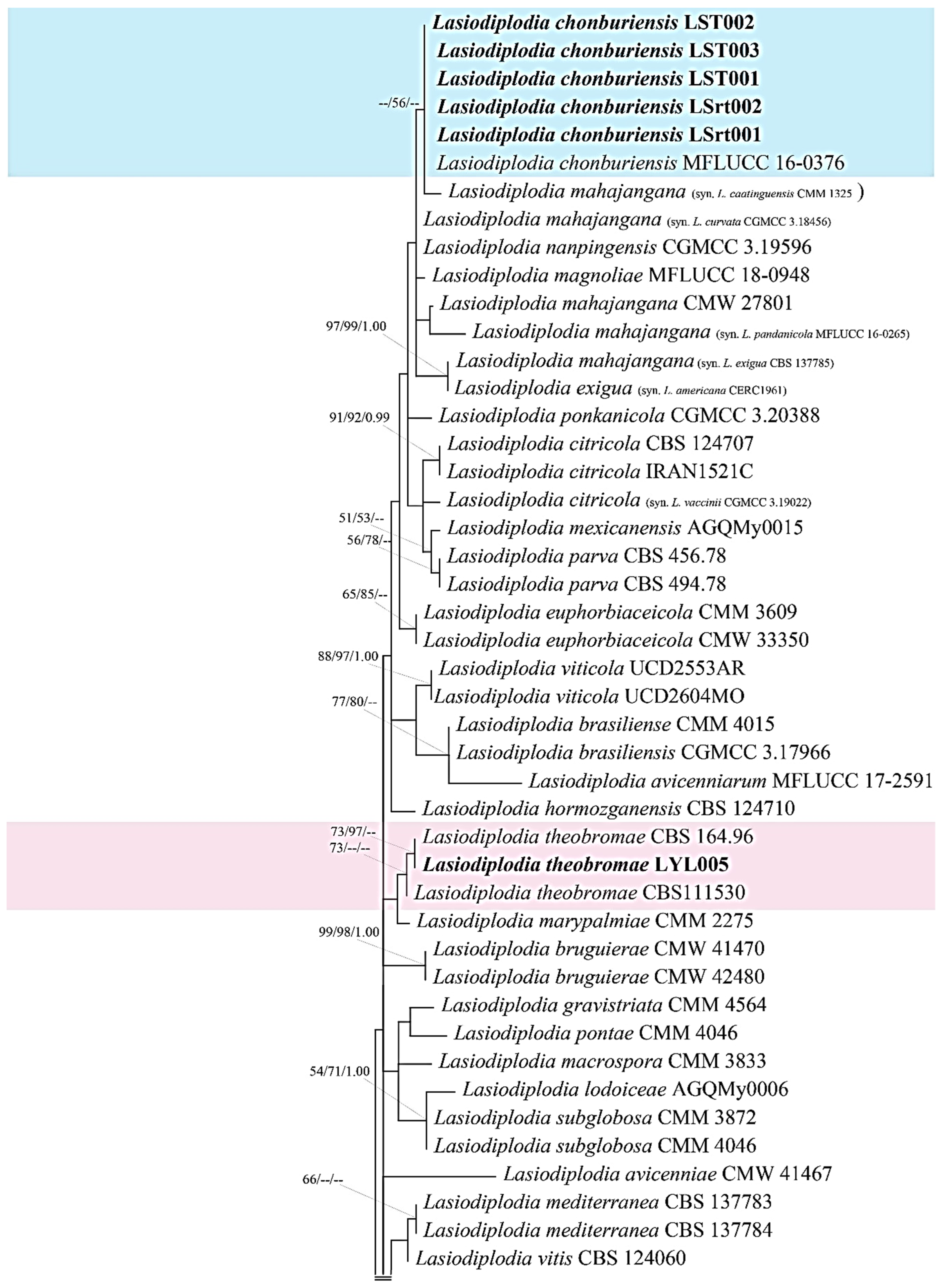 Diversity 15 00961 g005a