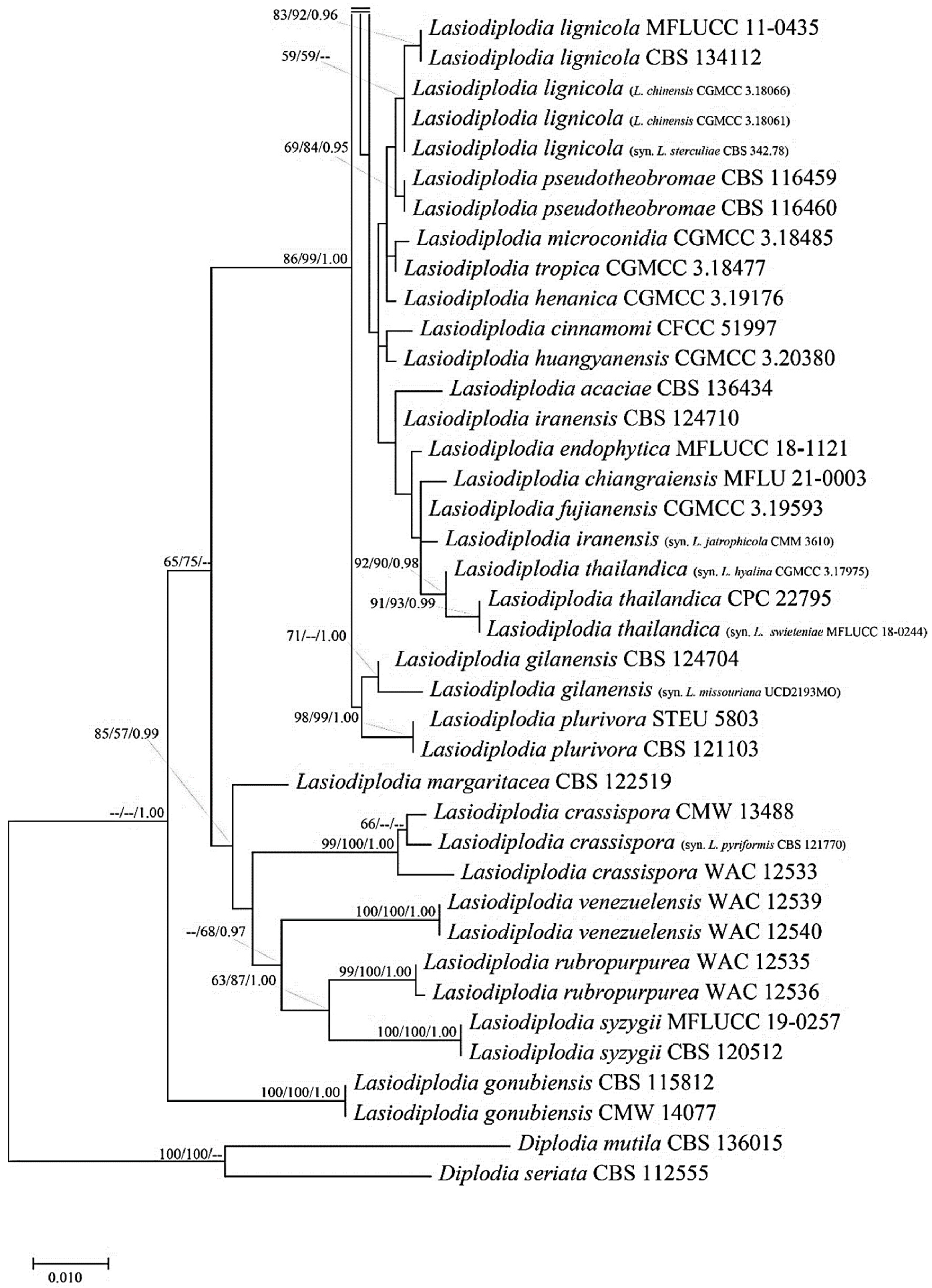 Diversity 15 00961 g005b