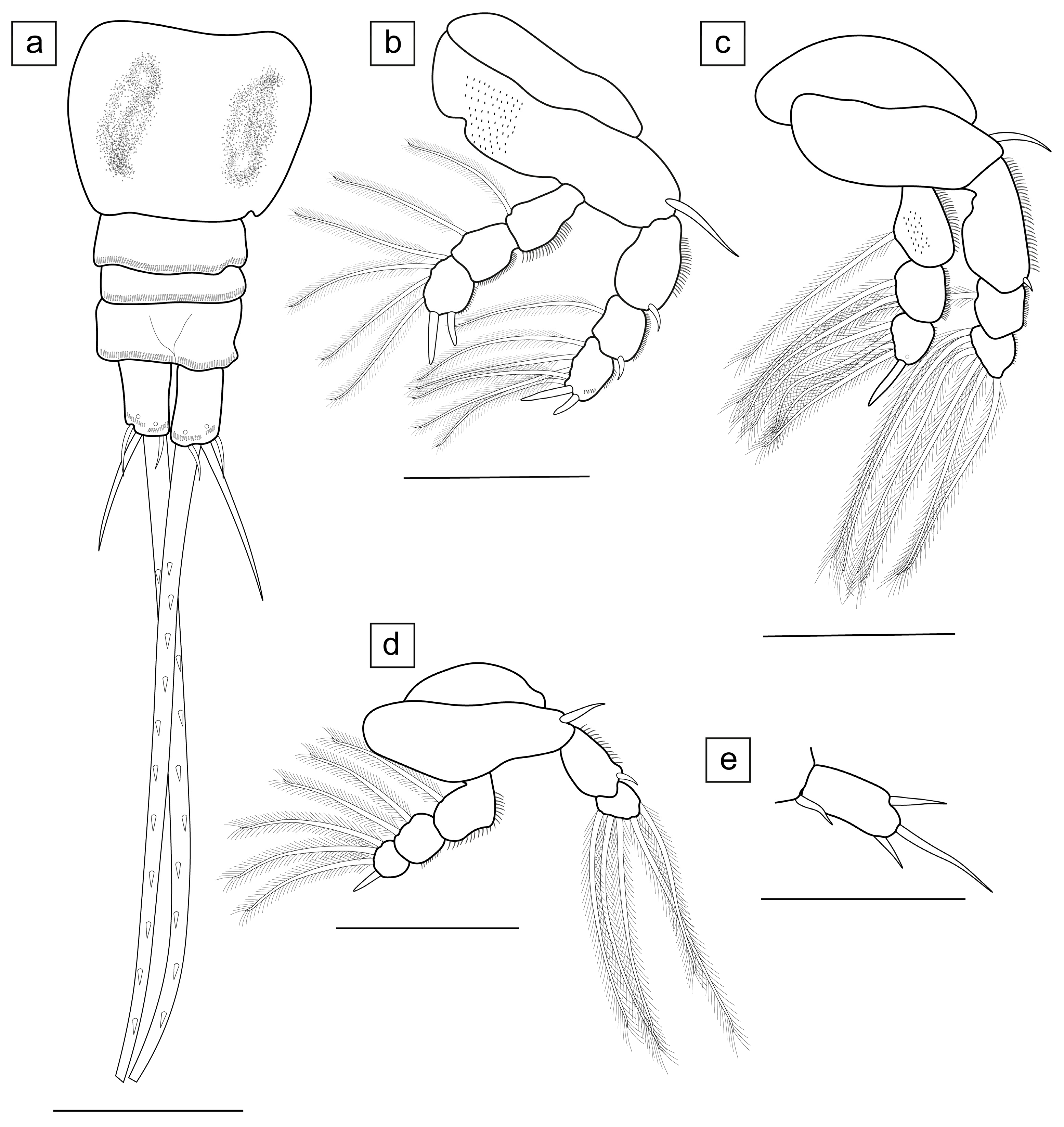 Diversity 15 00965 g003 Diversity 15 00965 g003