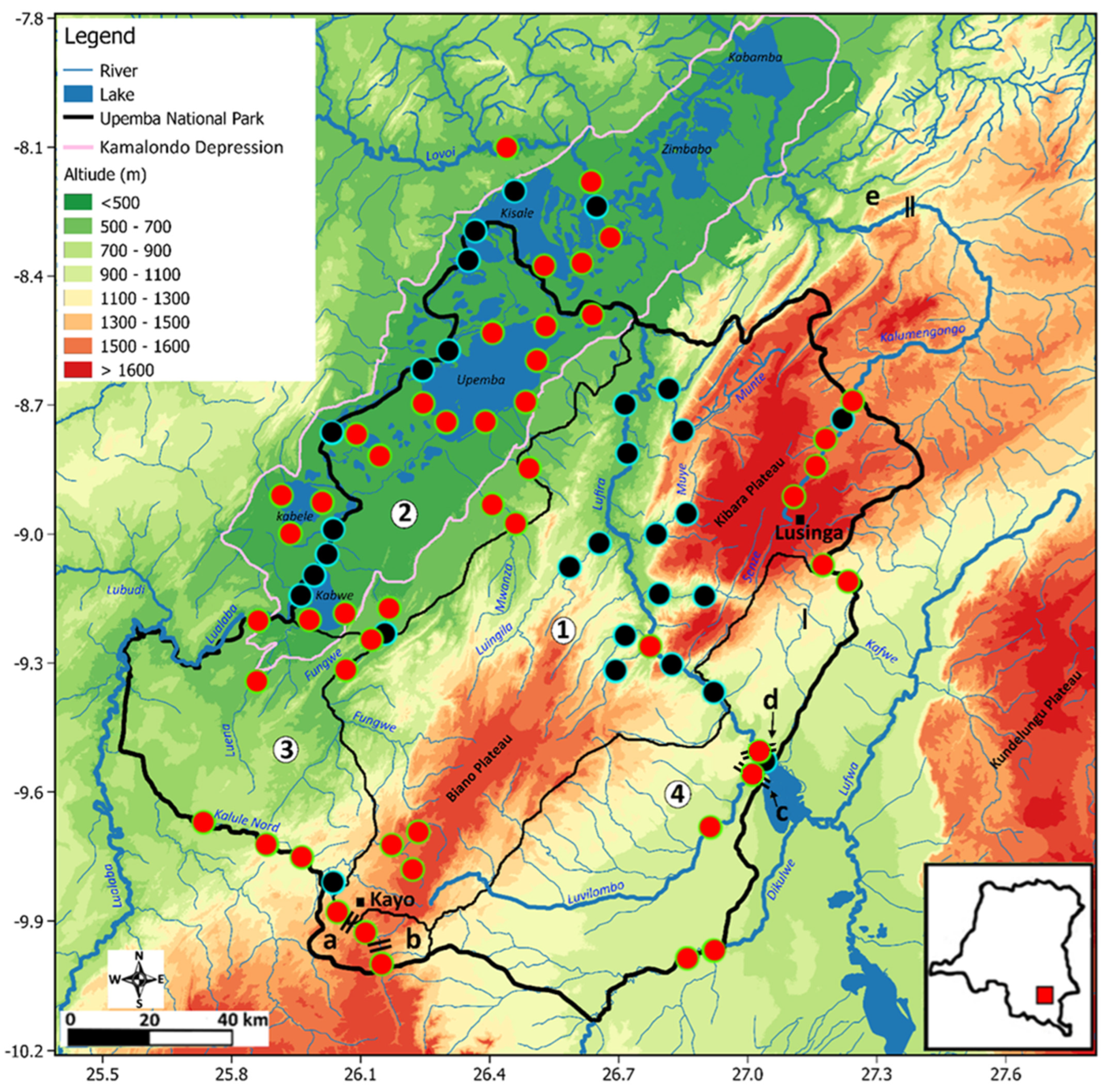 Diversity Free Full-Text The Upemba National Park (Upper Congo Basin, DR Congo) An Updated Checklist Confirming Its Status as an African Fish Biodiversity Hotspot image