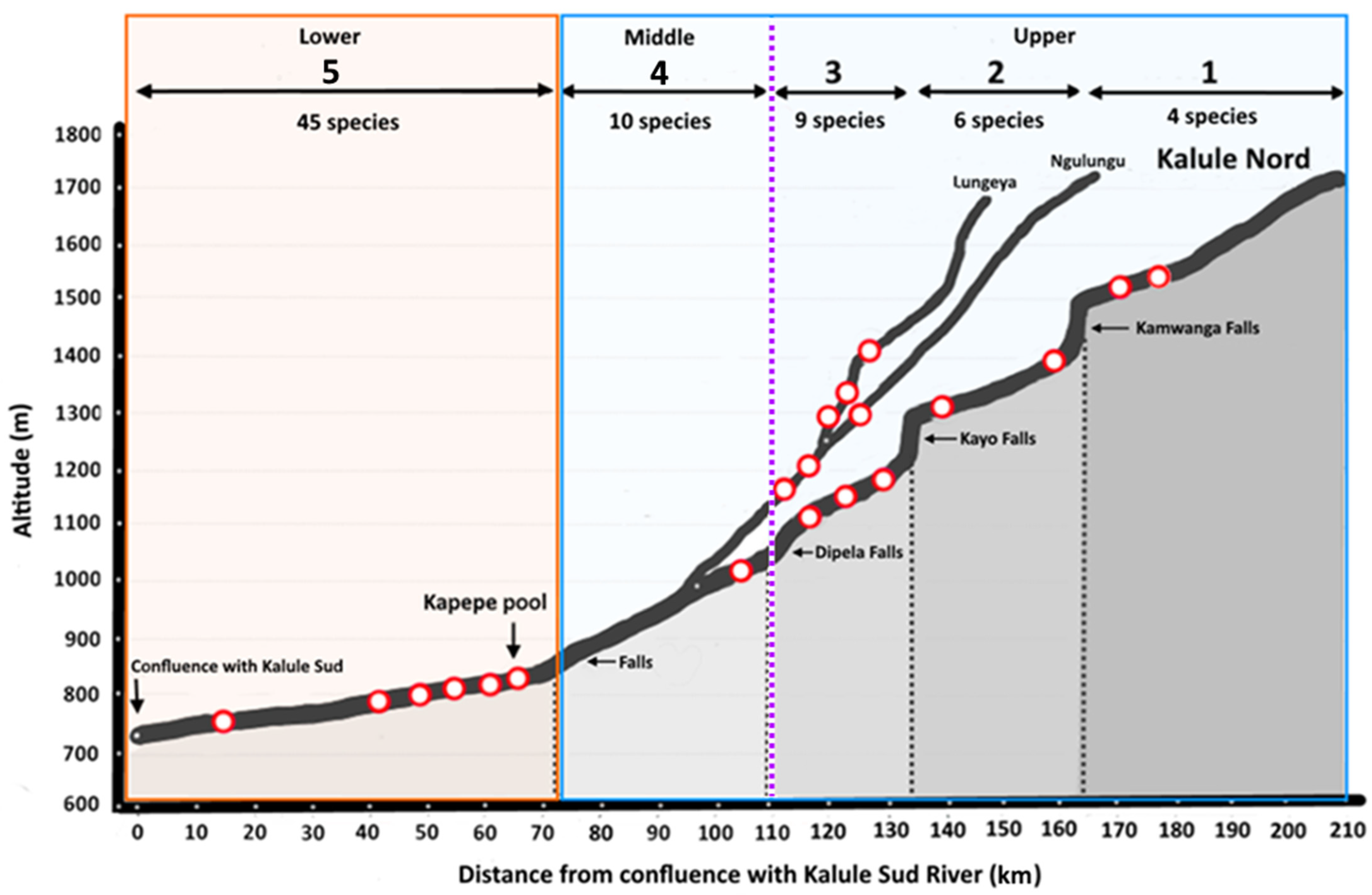 Diversity 15 00966 g002