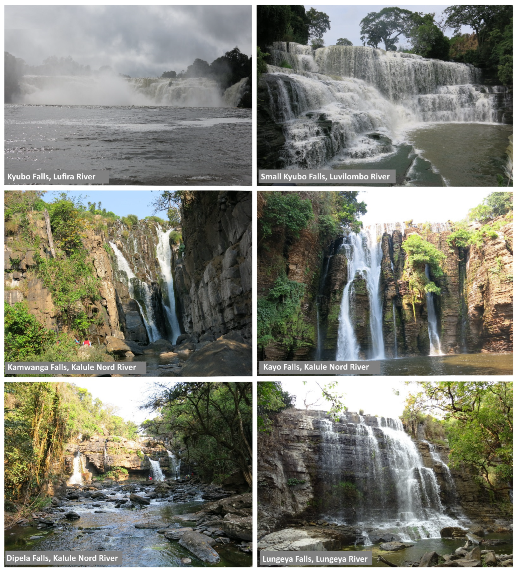 Diversity 15 00966 g0a2