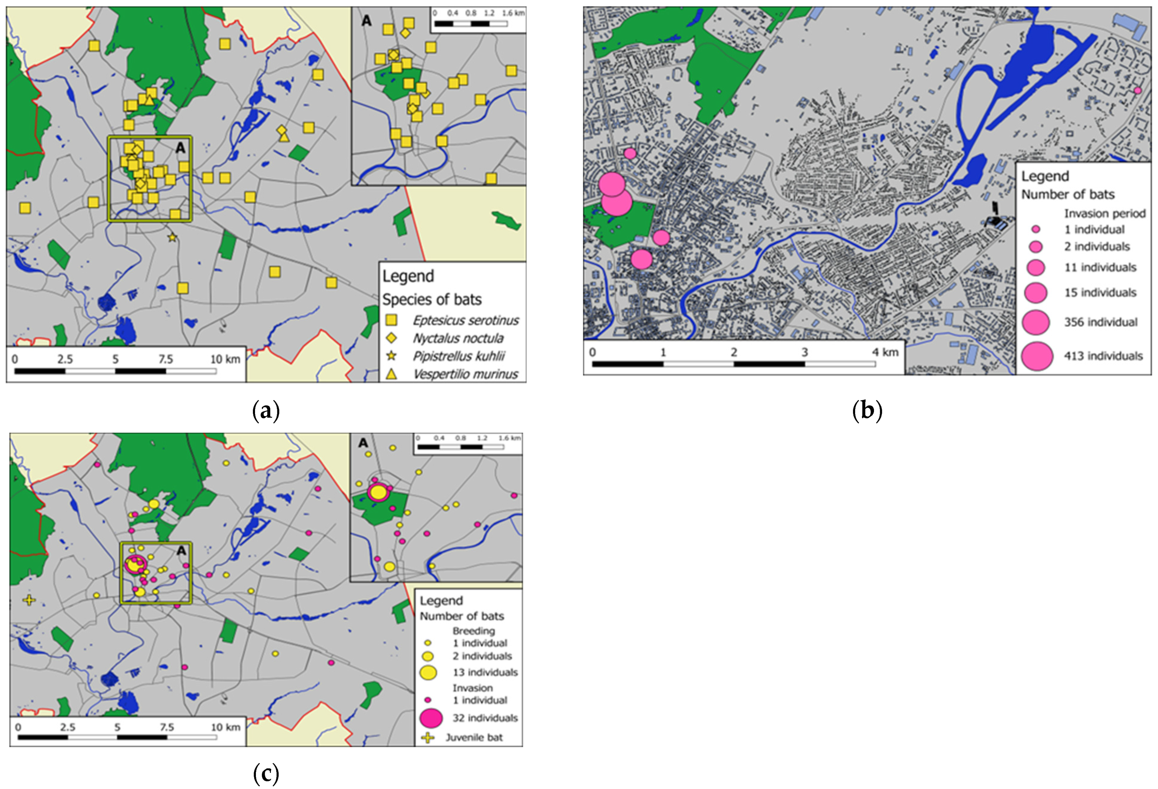 Diversity 15 00967 g002