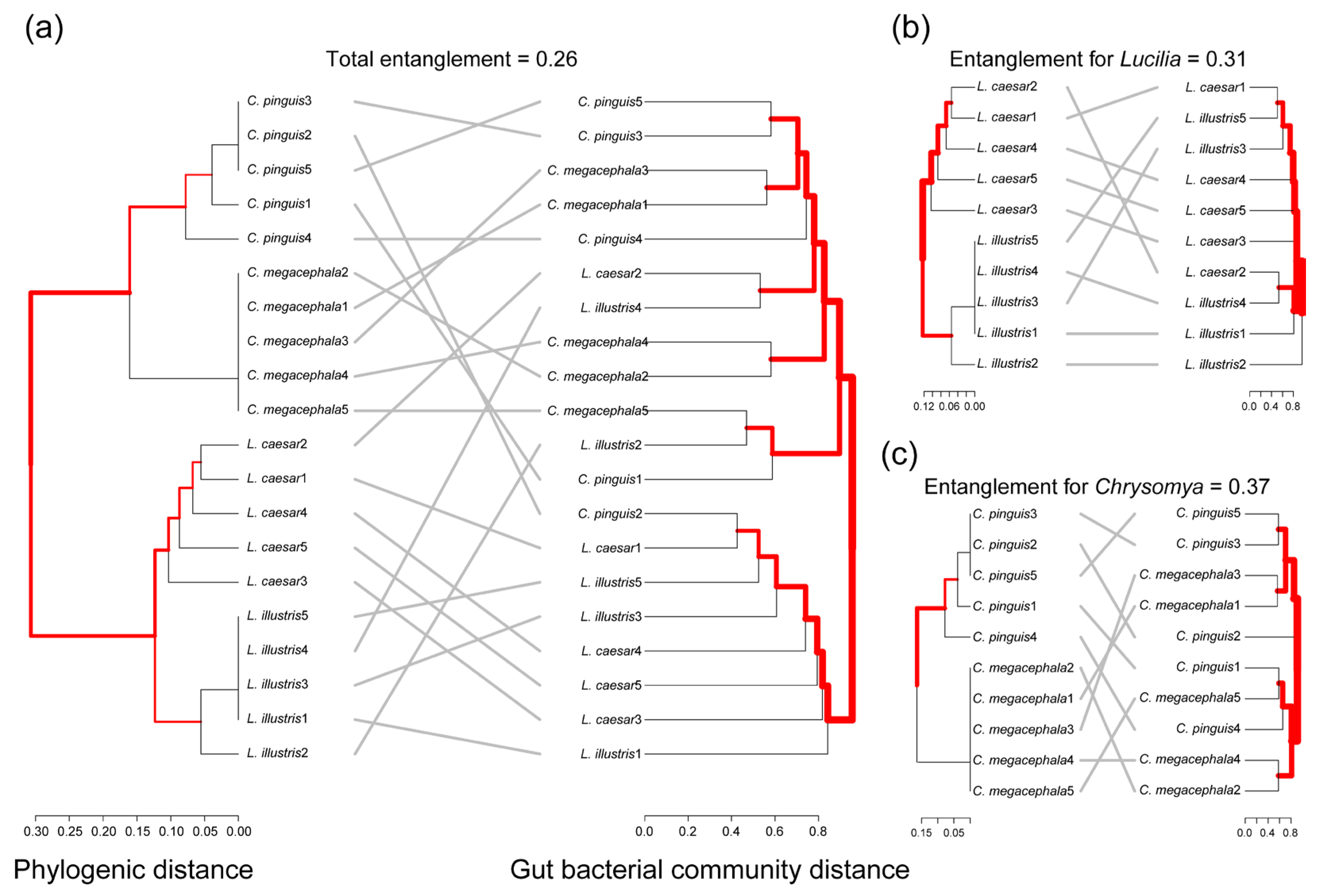 Diversity 15 00970 g005