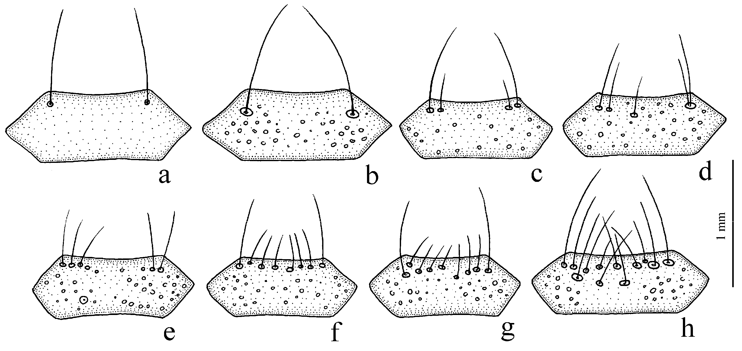 Diversity 15 00971 g001