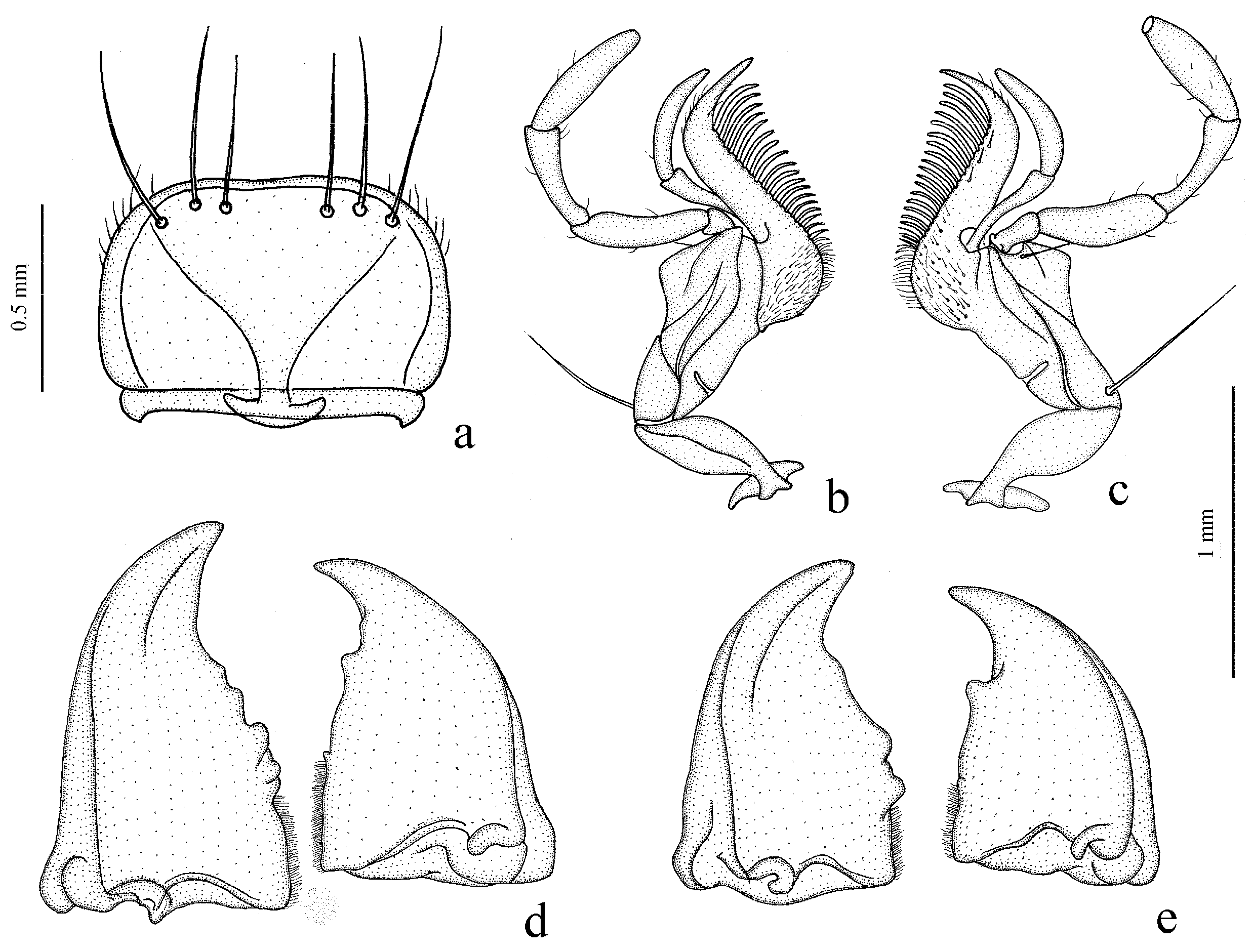 Diversity 15 00971 g002