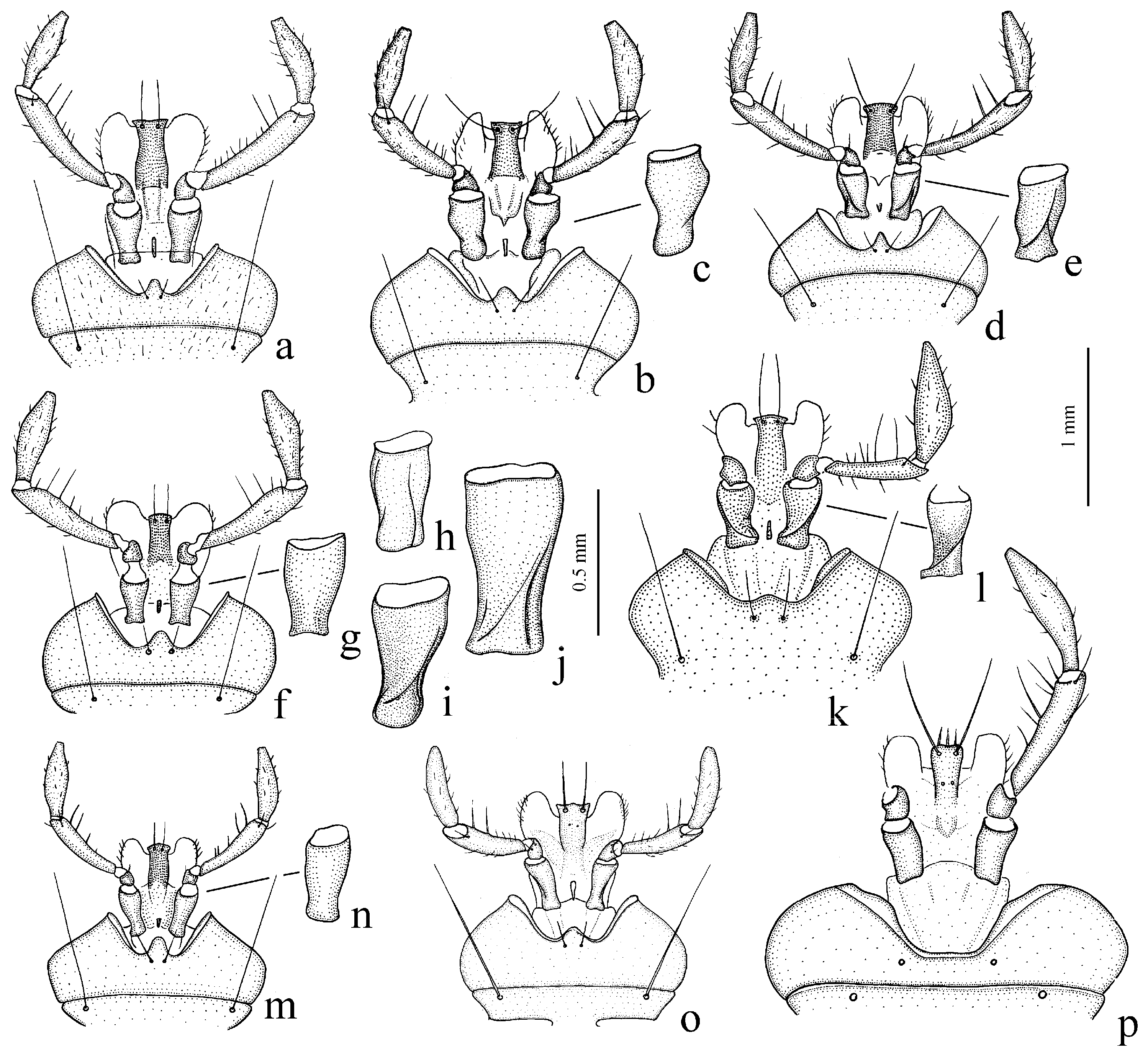 Diversity 15 00971 g003