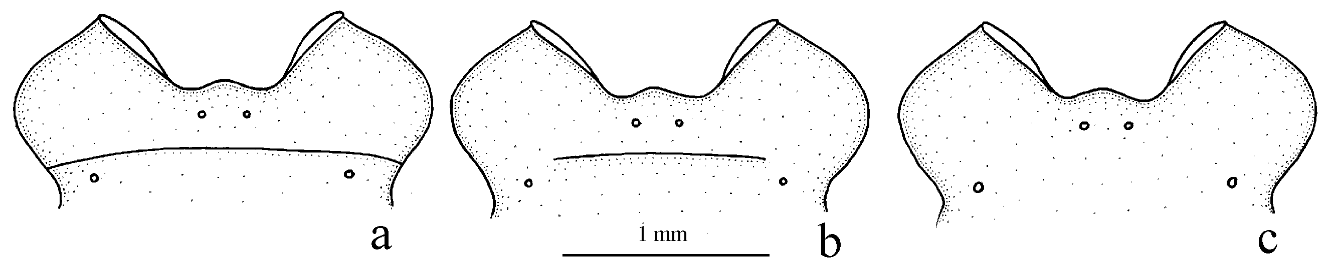 Diversity 15 00971 g004