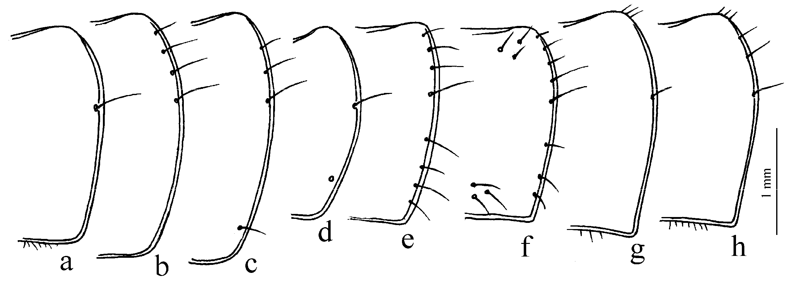 Diversity 15 00971 g005