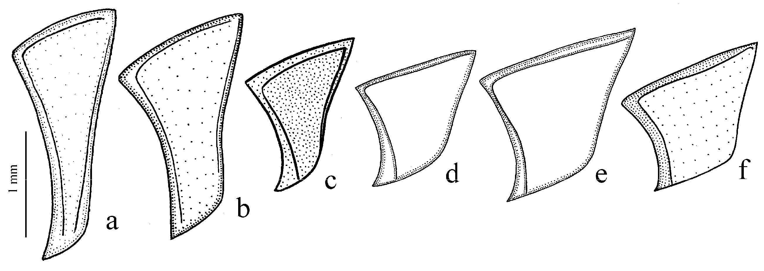 Diversity 15 00971 g007