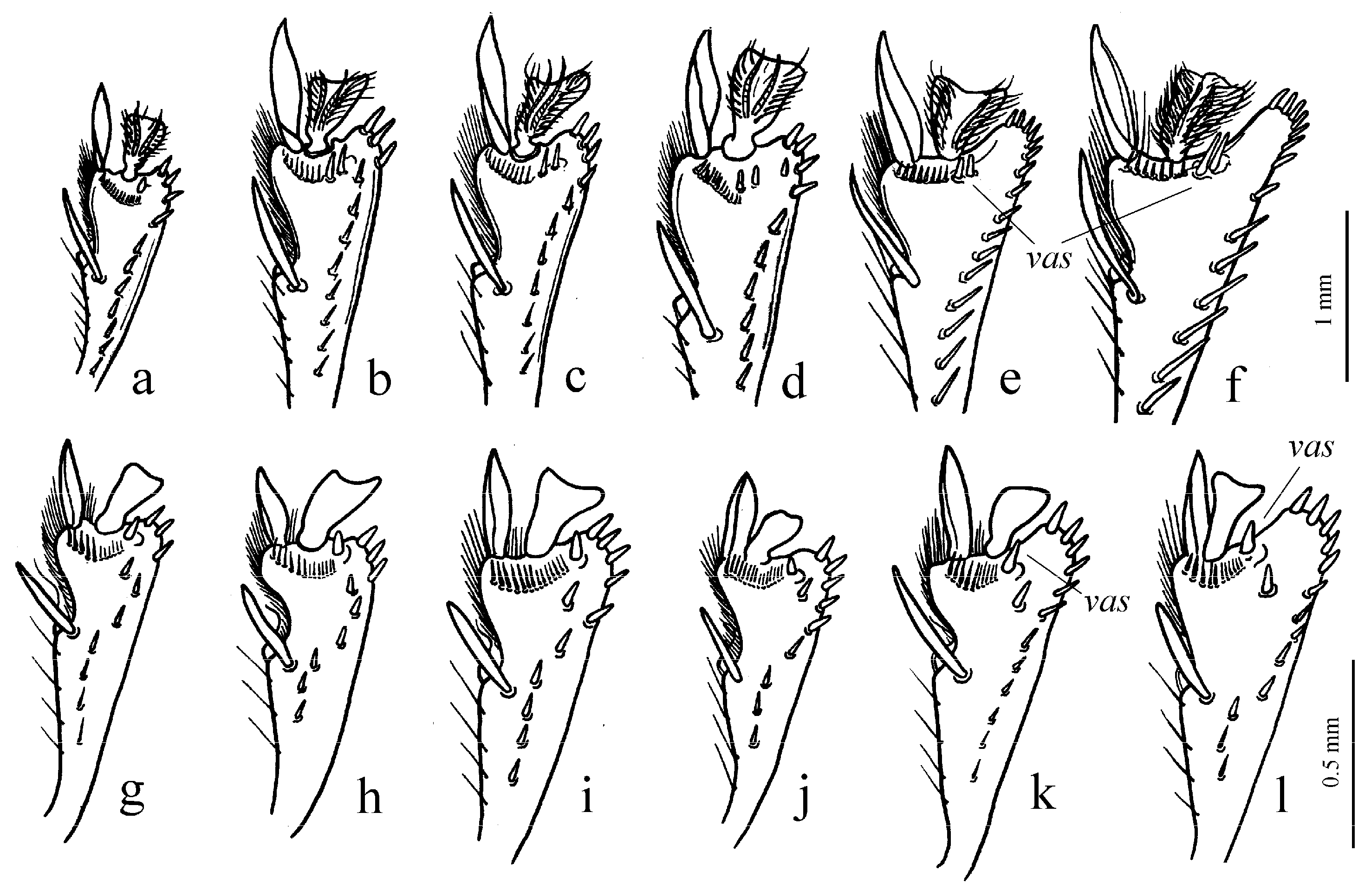 Diversity 15 00971 g009