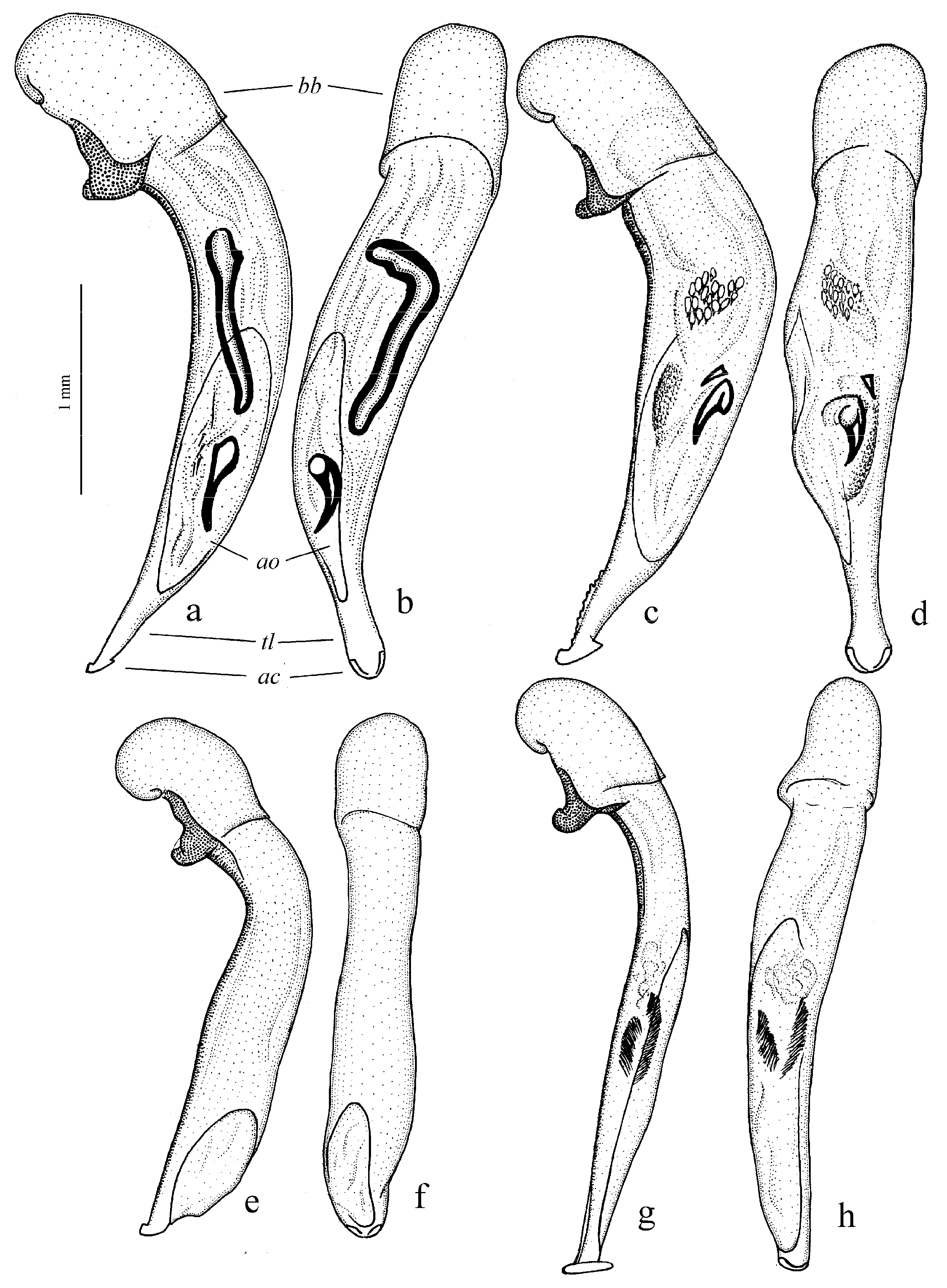 Diversity 15 00971 g011