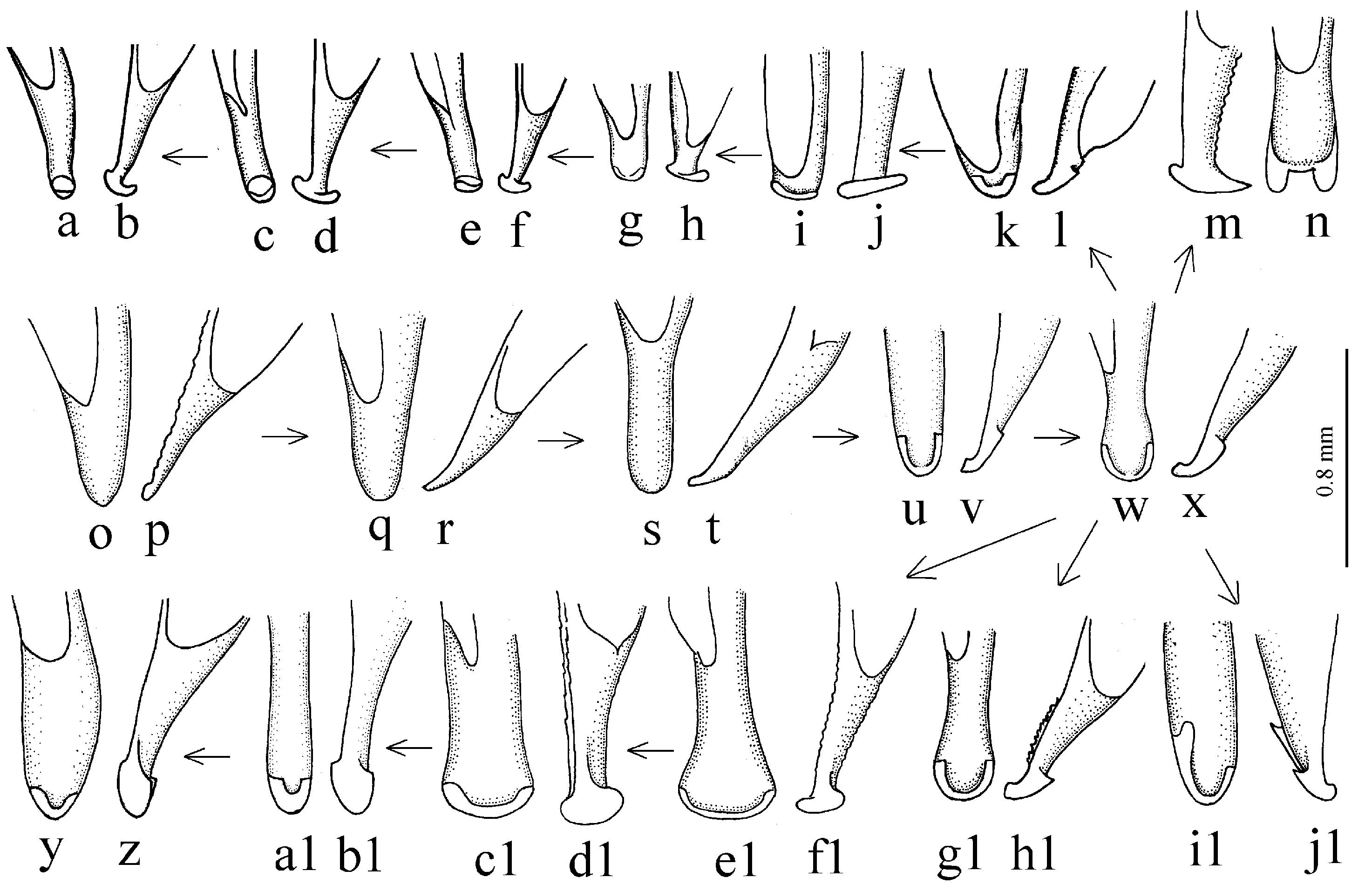 Diversity 15 00971 g012