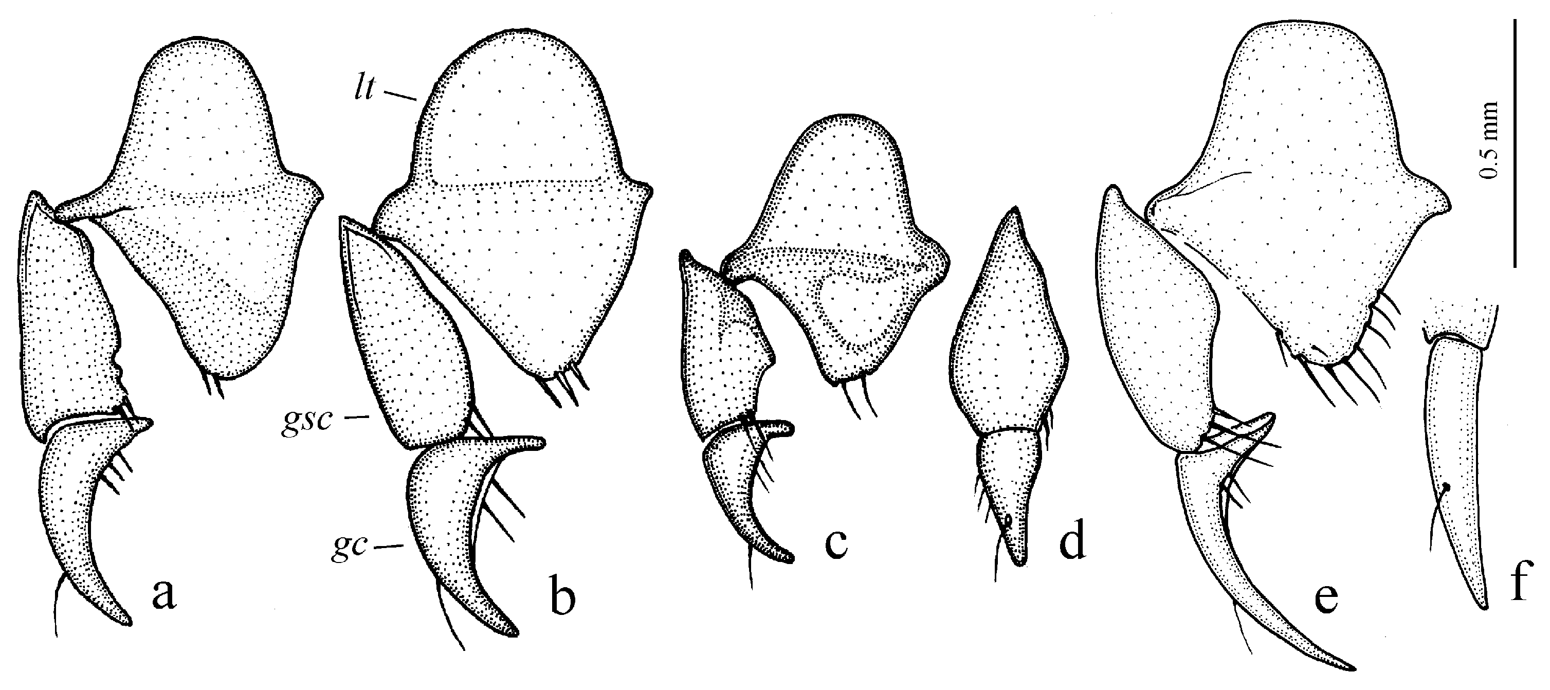 Diversity 15 00971 g014