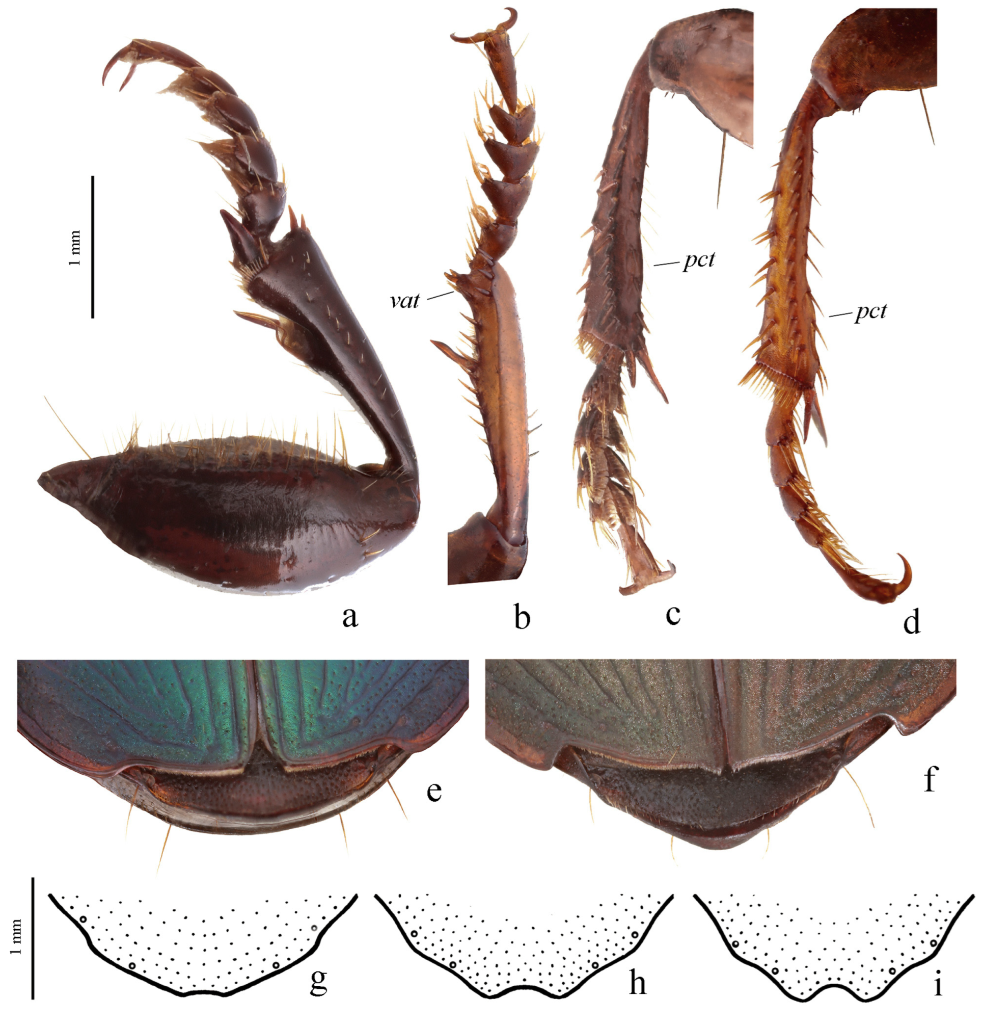 Diversity 15 00971 g015