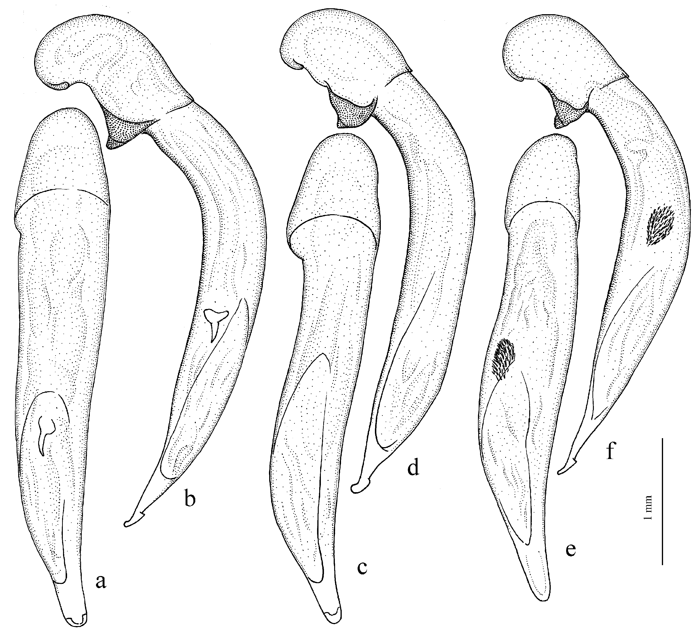 Diversity 15 00971 g020