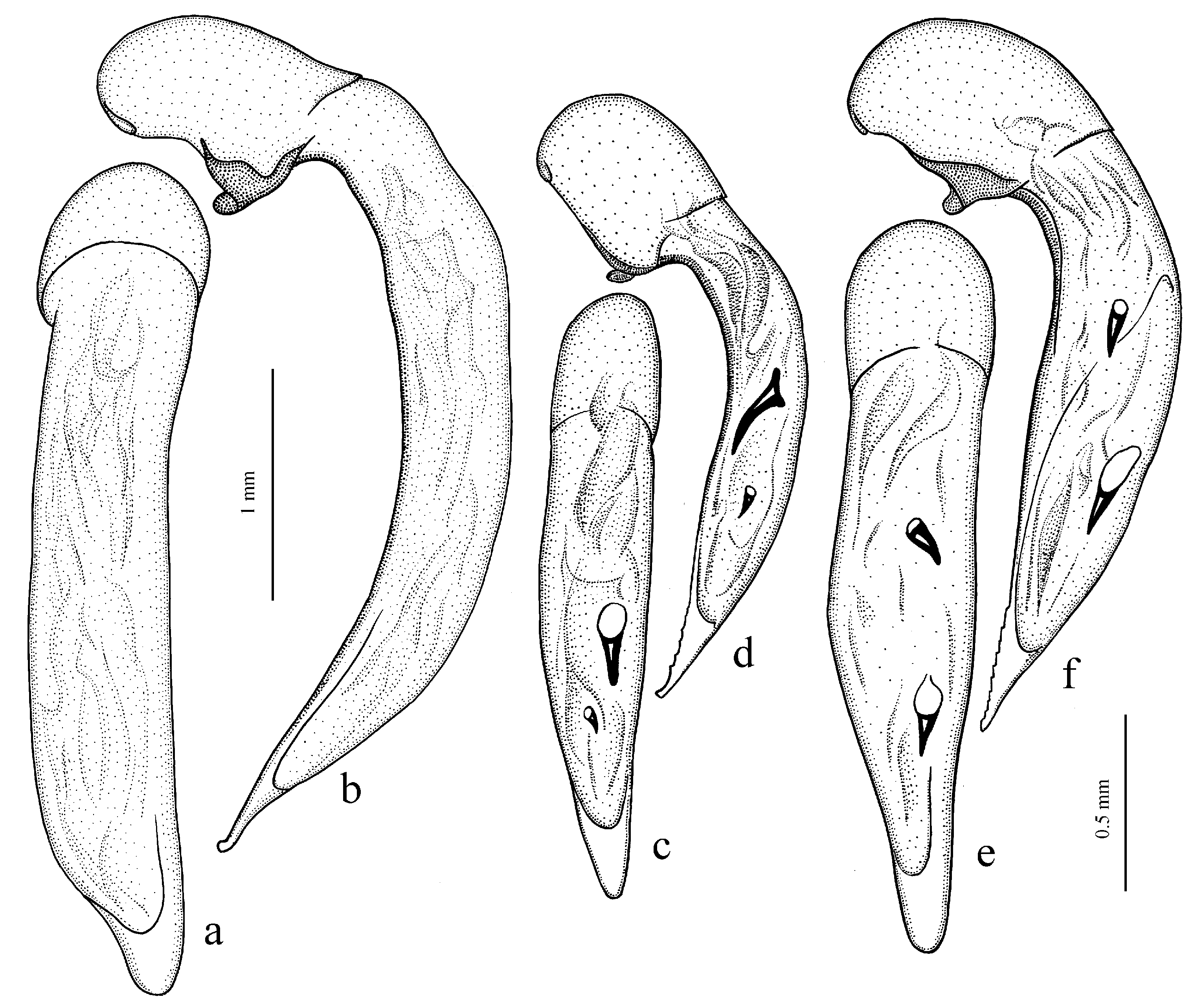 Diversity 15 00971 g023