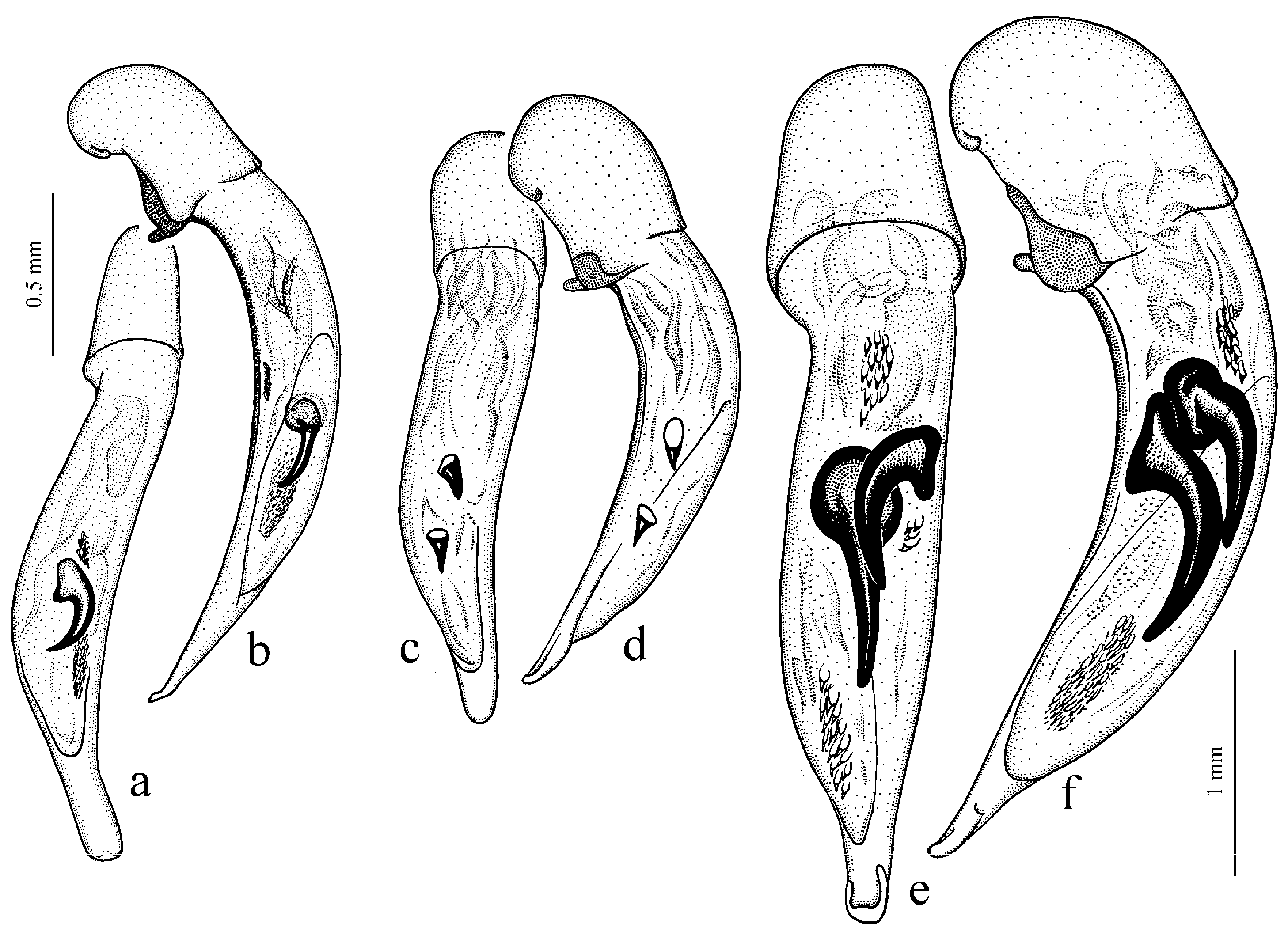 Diversity 15 00971 g025