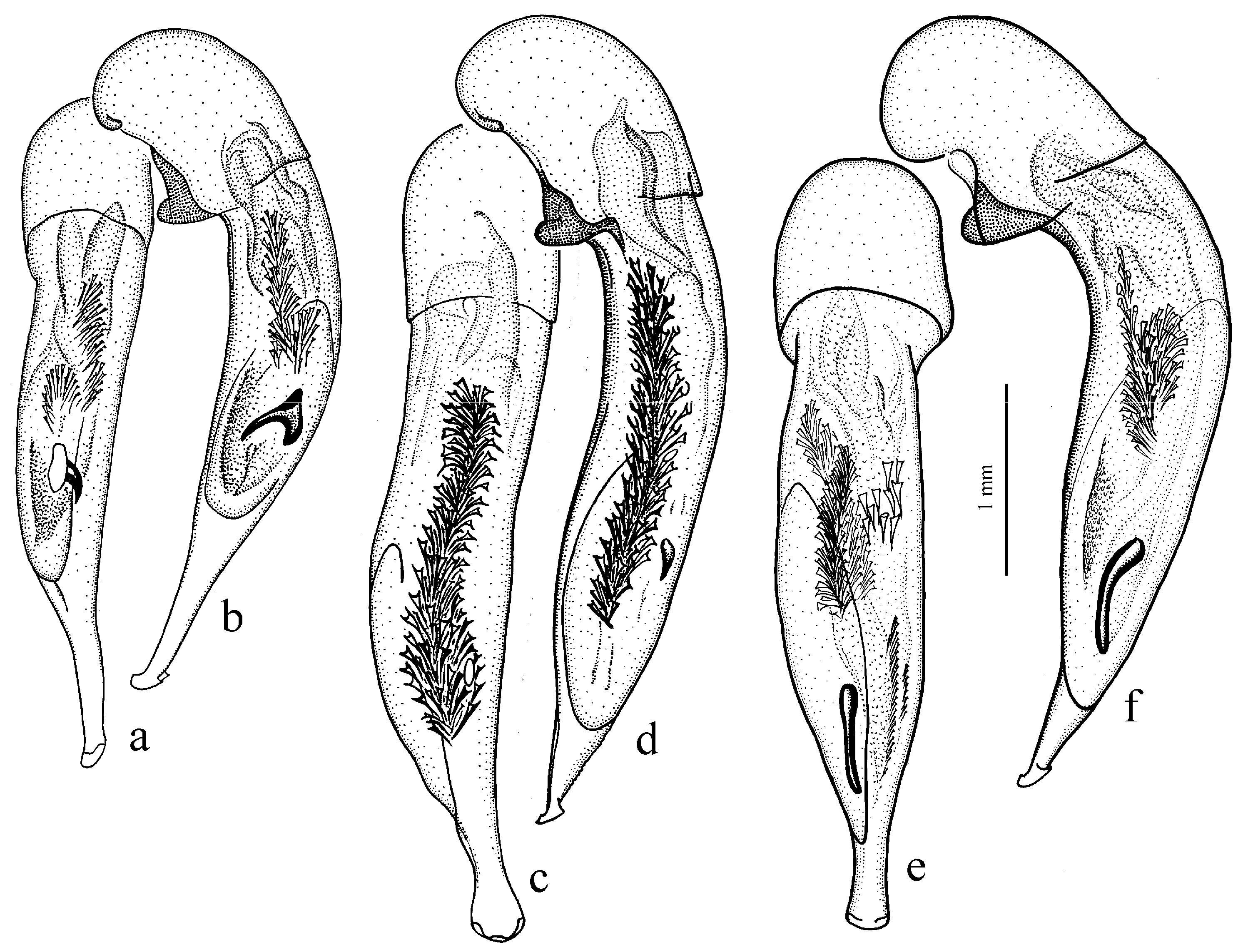 Diversity 15 00971 g027