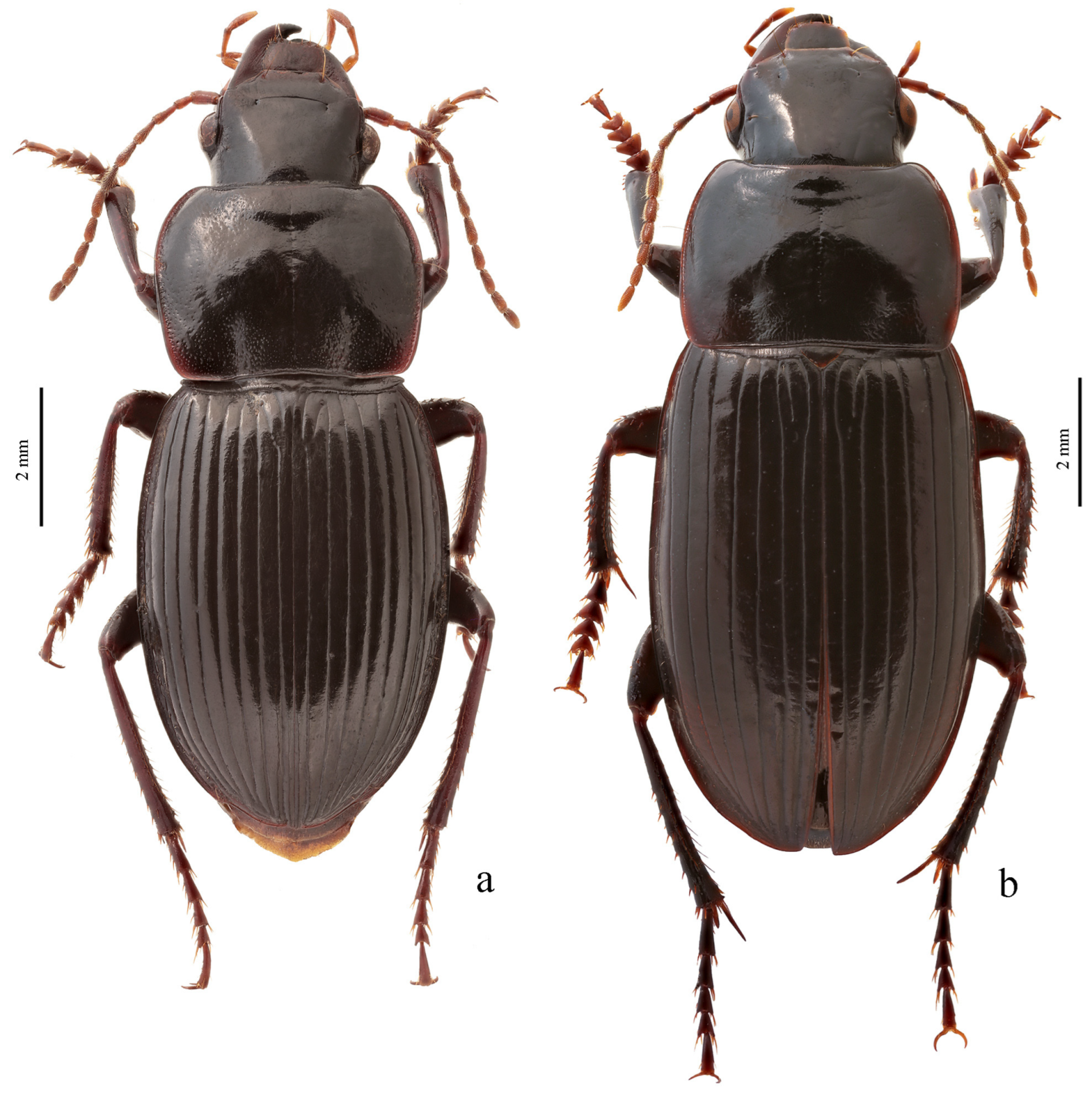 Diversity 15 00971 g028