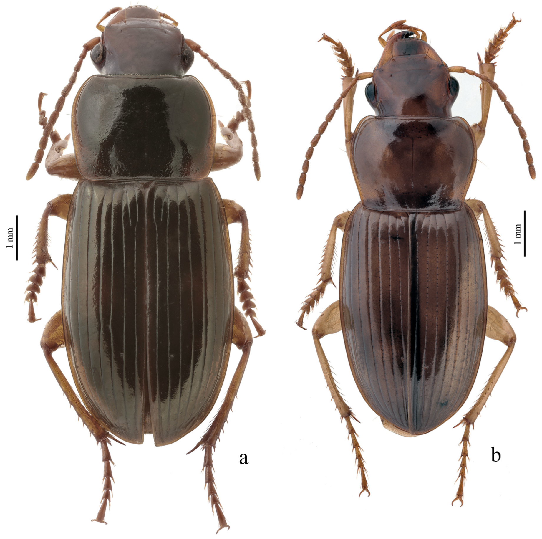 Diversity 15 00971 g029