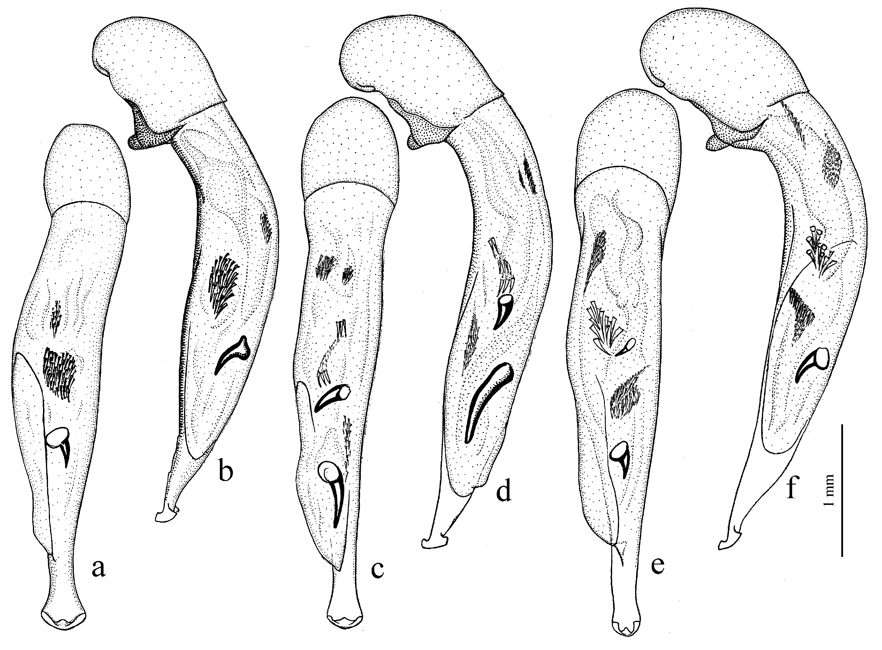 Diversity 15 00971 g032