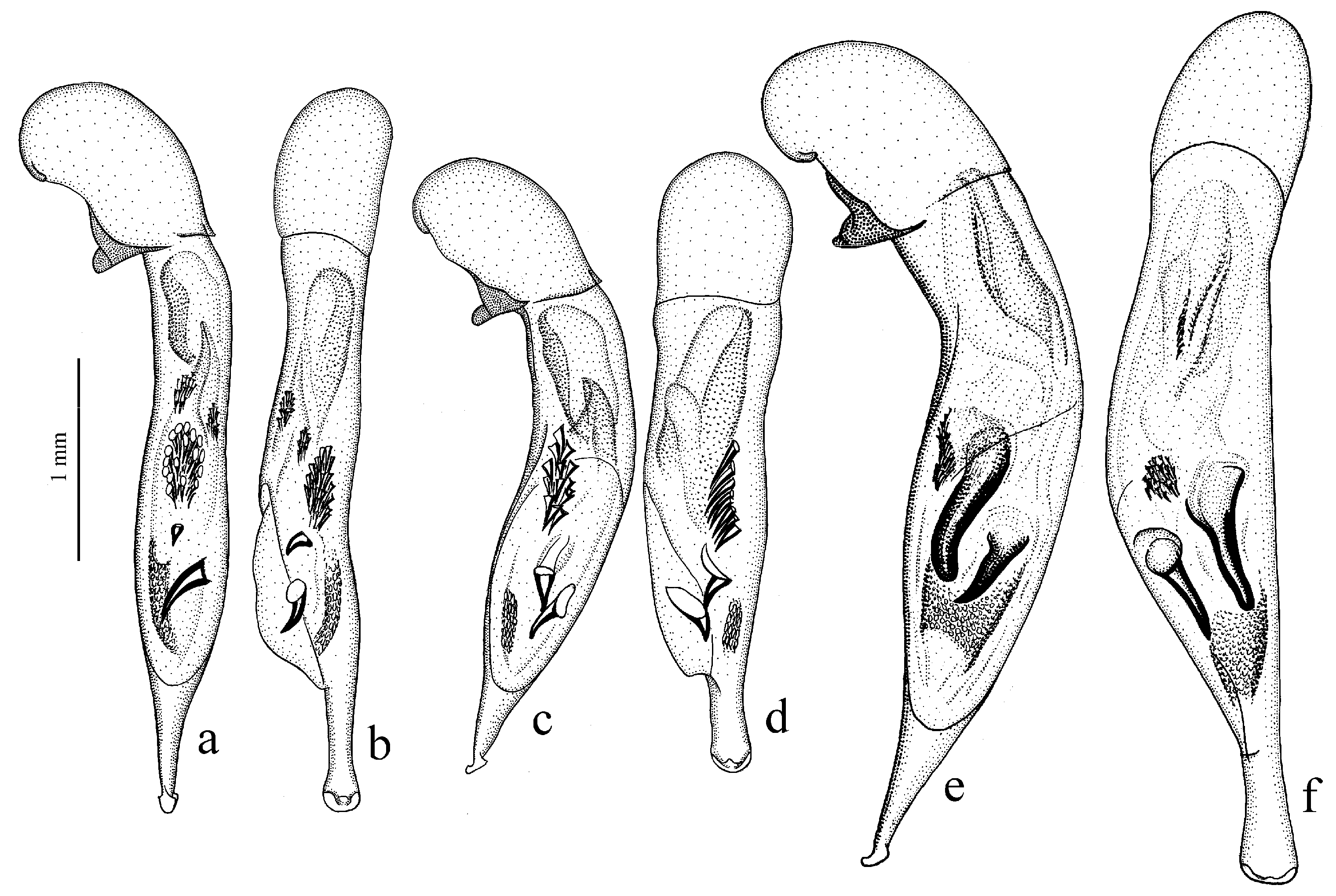 Diversity 15 00971 g033